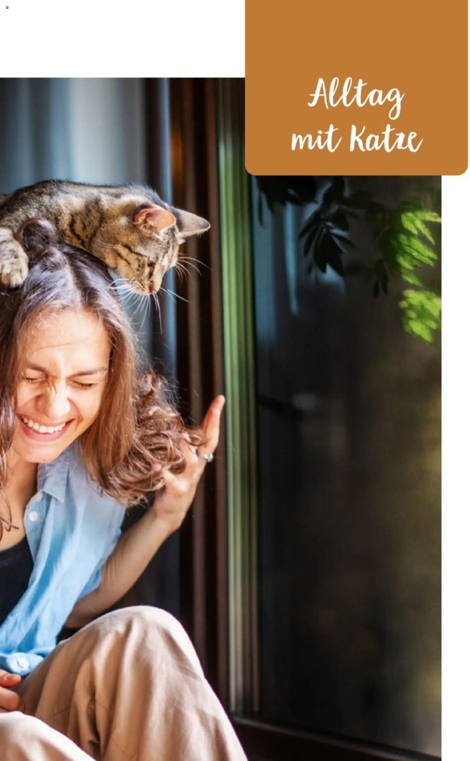 zookauf Themenkatalog Katze – gültig ab 01.10.2026 | Seite: 29