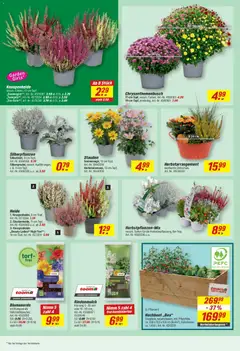 Toom Baumarkt Prospekt ab 14.09.2026 gültig | Seite: 10 | Produkte: Hochbeet, Rindenmulch, Torf, Blumenerde