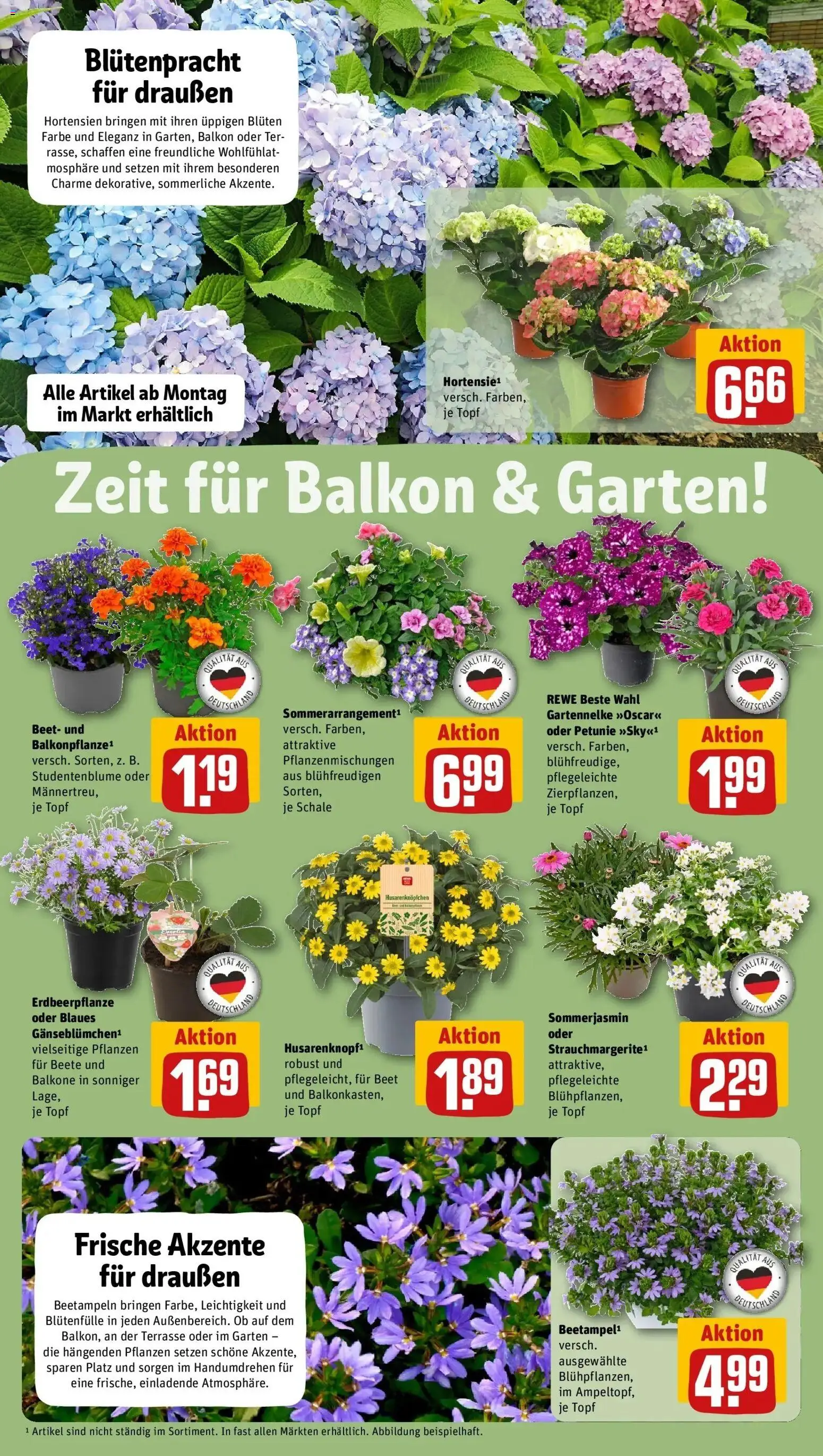 Rewe Prospekt Brüggen	 – gültig ab 10.05.2026 | Seite: 6