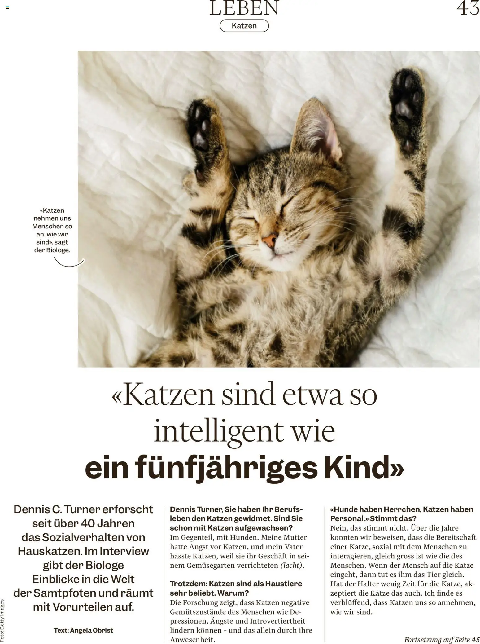 Migros aktionen Magazin – gültig ab 10.06.2026 | Seite: 43