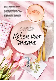 Alvo folder - Voorbeeld van een folder van Alvo, geldig van 25.03.2026 | Pagina: 36 | Producten: La, Tafel, Kan
