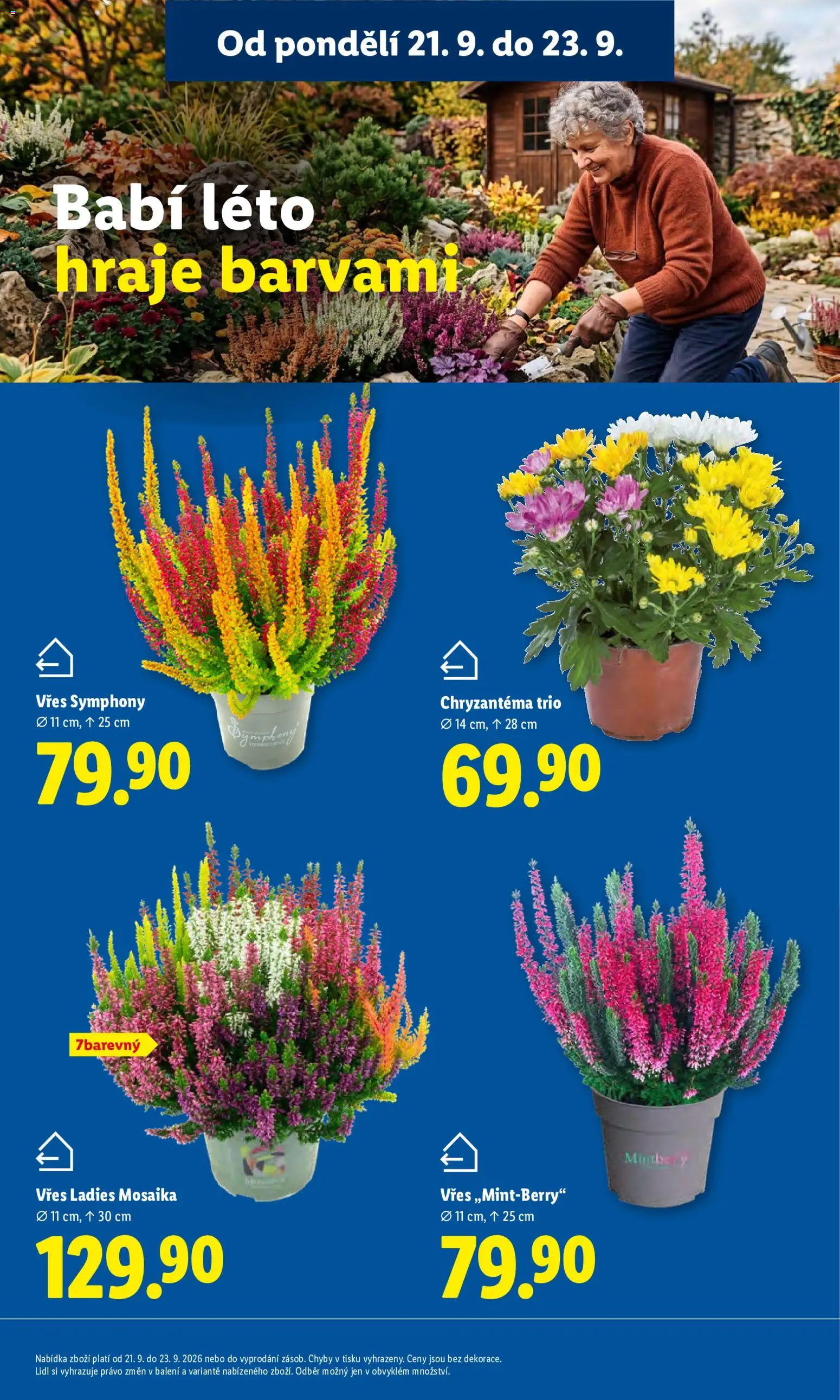 Lidl leták od 21.09.2026 | Strana: 13