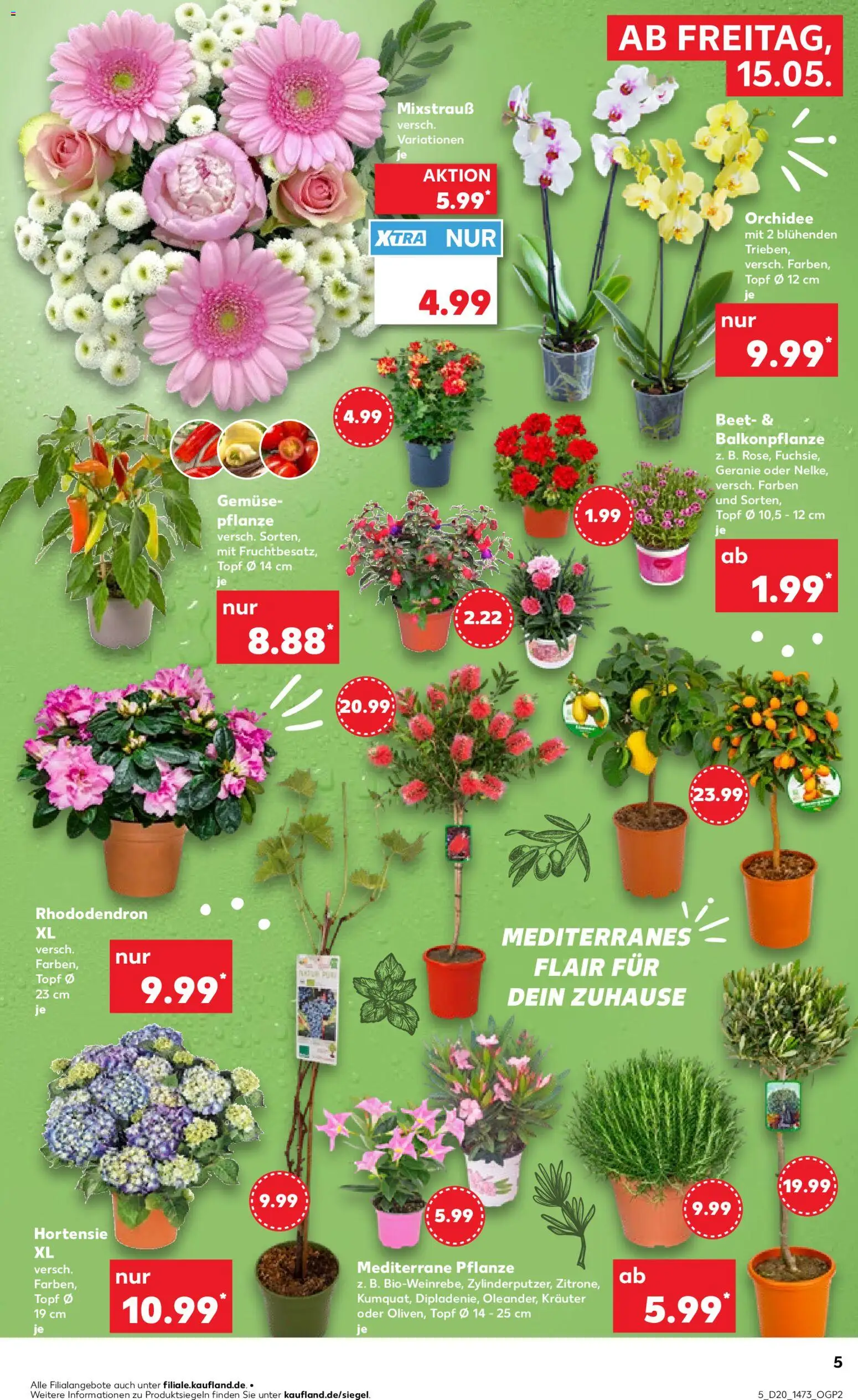 Kaufland Prospekt – gültig ab 15.05.2026 | Seite: 5 | Produkte: Hortensie, Orchidee, Gemüse