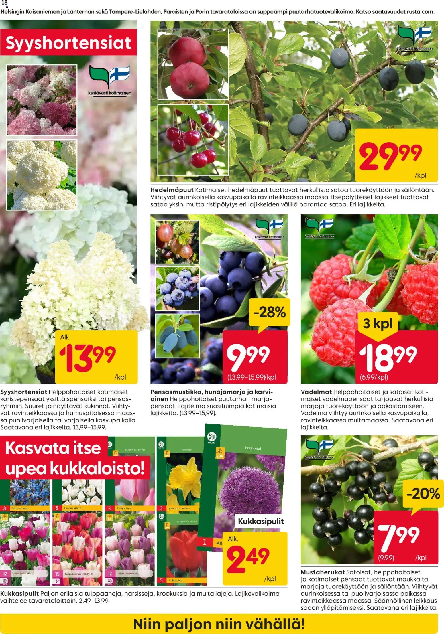 Rusta tarjoukset – voimassa 21/09/2026 alkaen | Sivu: 18