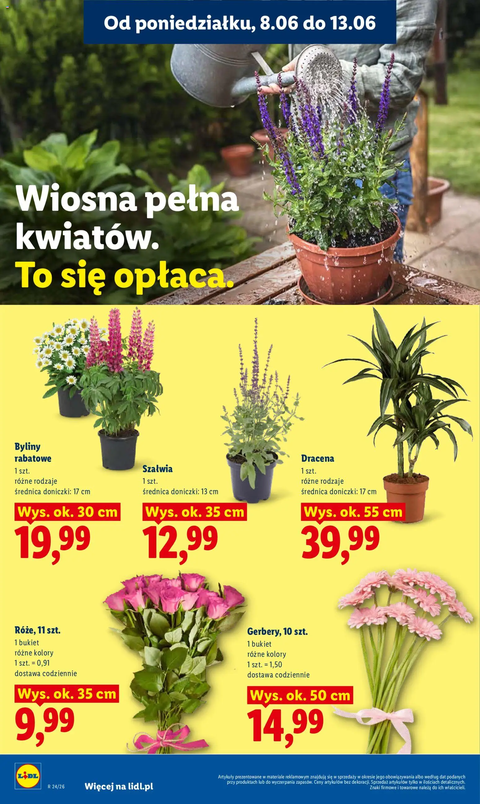 Lidl gazetka od 08.06.2026 | Strona: 82 | Produkty: Doniczki