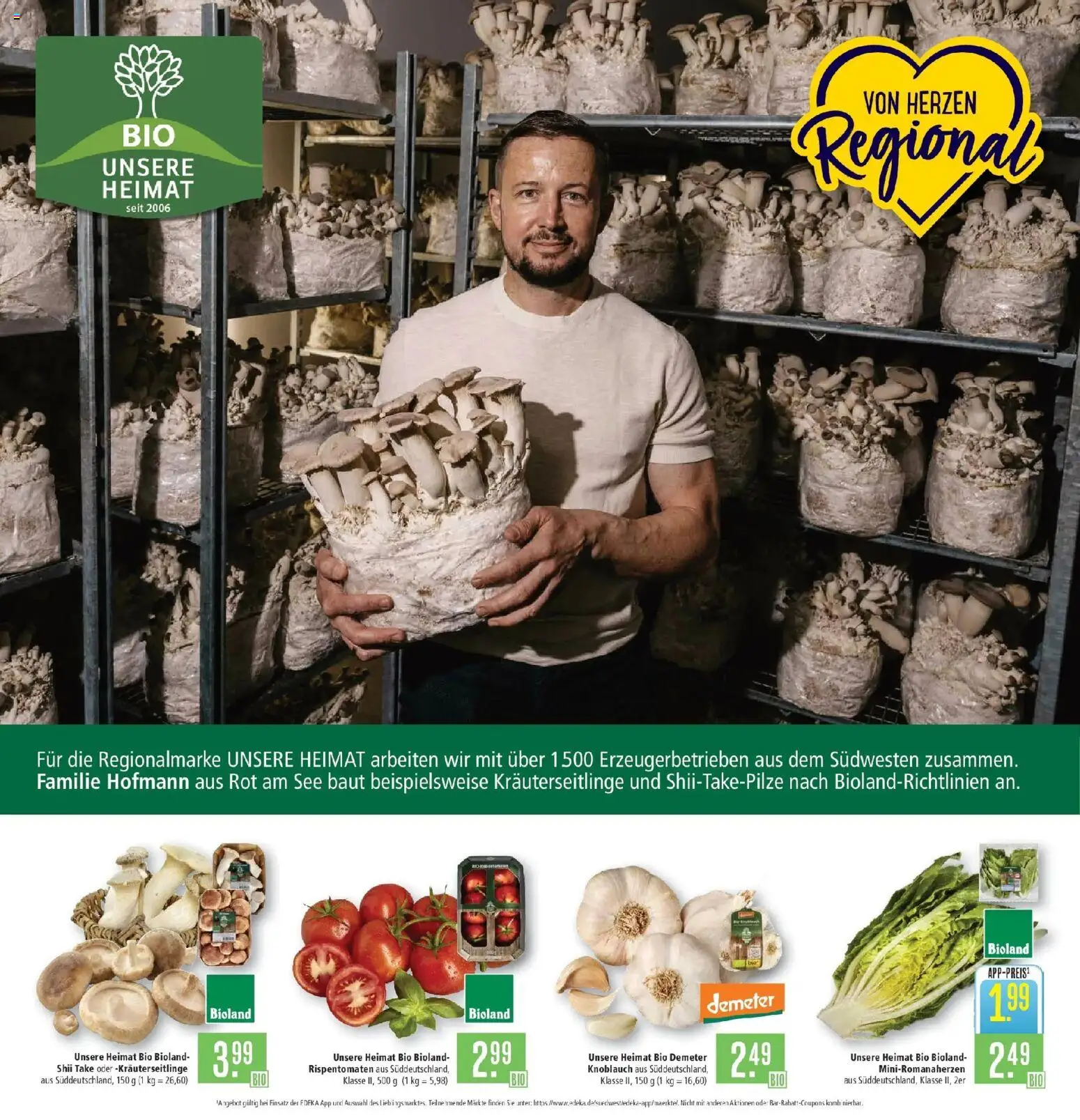 Marktkauf Prospekt Kirchheim (ab 07.09.2026) » Angebote online | Seite: 6 | Produkte: Knoblauch