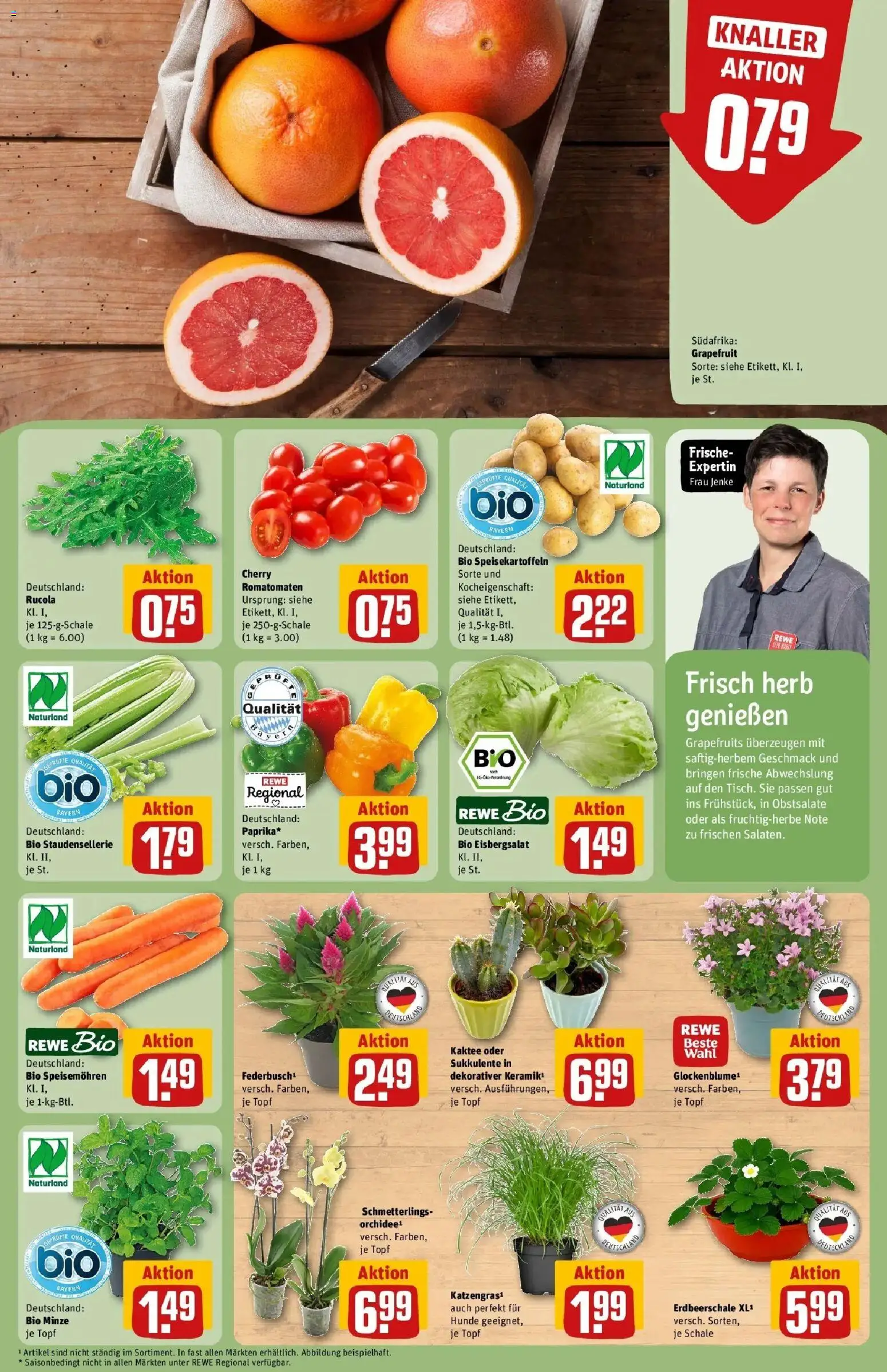 Rewe Prospekt Pegnitz – gültig ab 27.07.2026 | Seite: 7 | Produkte: Rucola, Eisbergsalat, Grapefruit