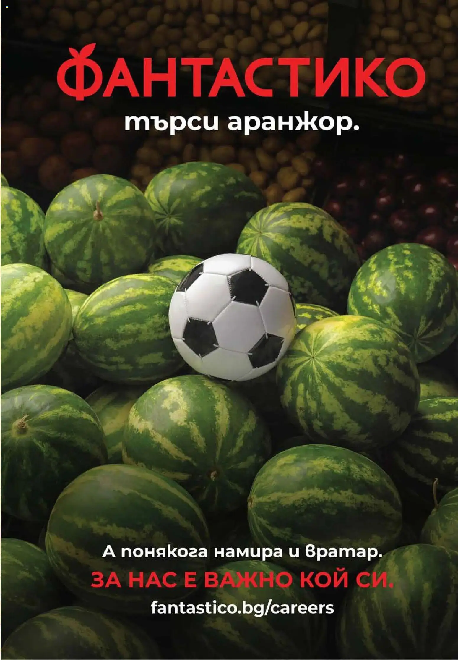 Нова Фантастико брошура от 29.10.2026 | Страница: 73