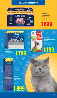 Lidl akciós újság - amely érvényes a következő dátumtól: 2026.09.17. | Oldal: 29