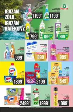 COOP - Újság Észak Kelet Pro-Coop Zrt - amely érvényes a következő dátumtól: 21.05.2026 | Oldal: 11 | Termékek: Coccolino, Macskaeledel, Aloe vera, Mosószer