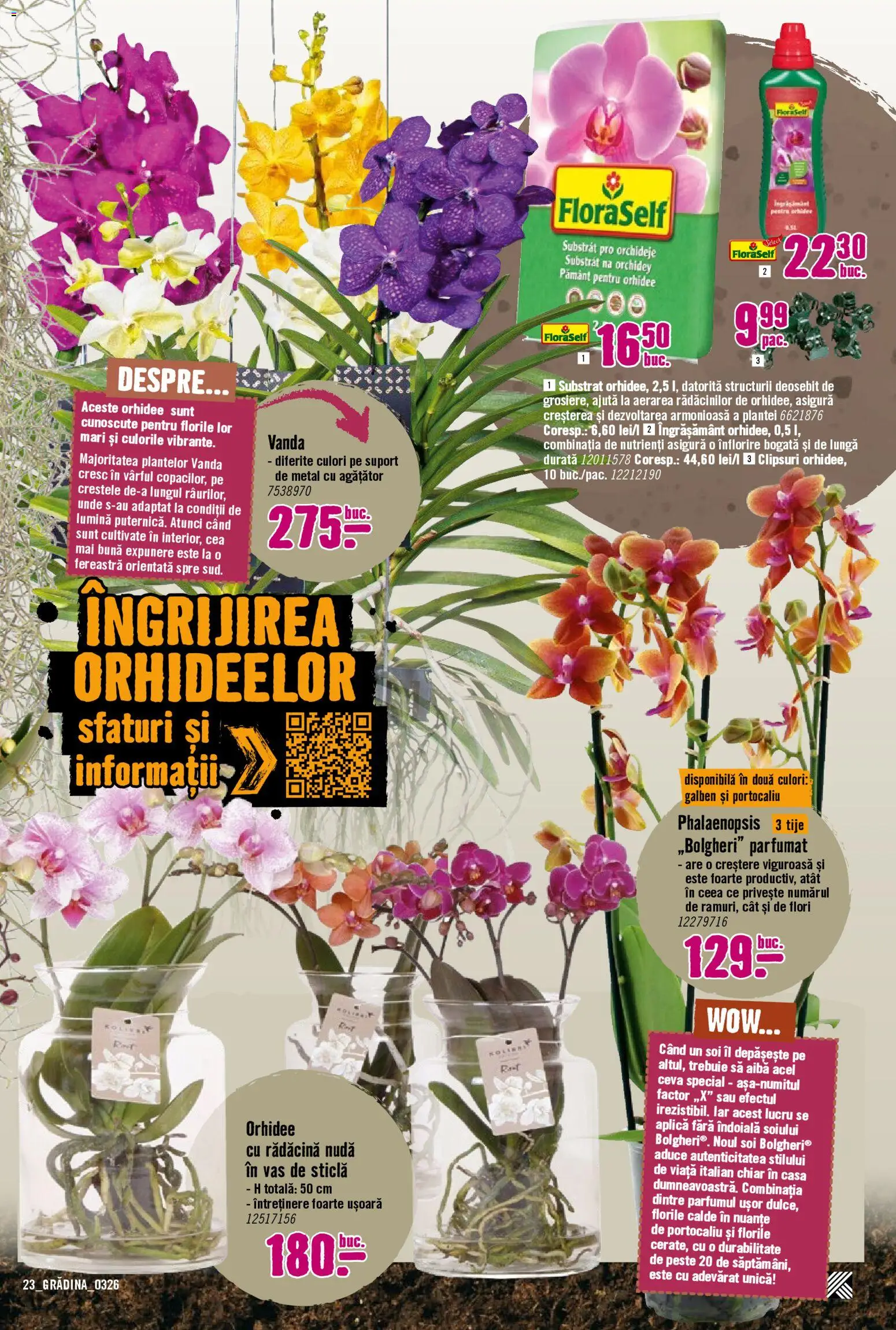 Noul catalog Hornbach – valabil de la 23.03.2026 | Pagină: 23 | Produse: Tavuk suyu, Orhidee, Fereastră, Pește