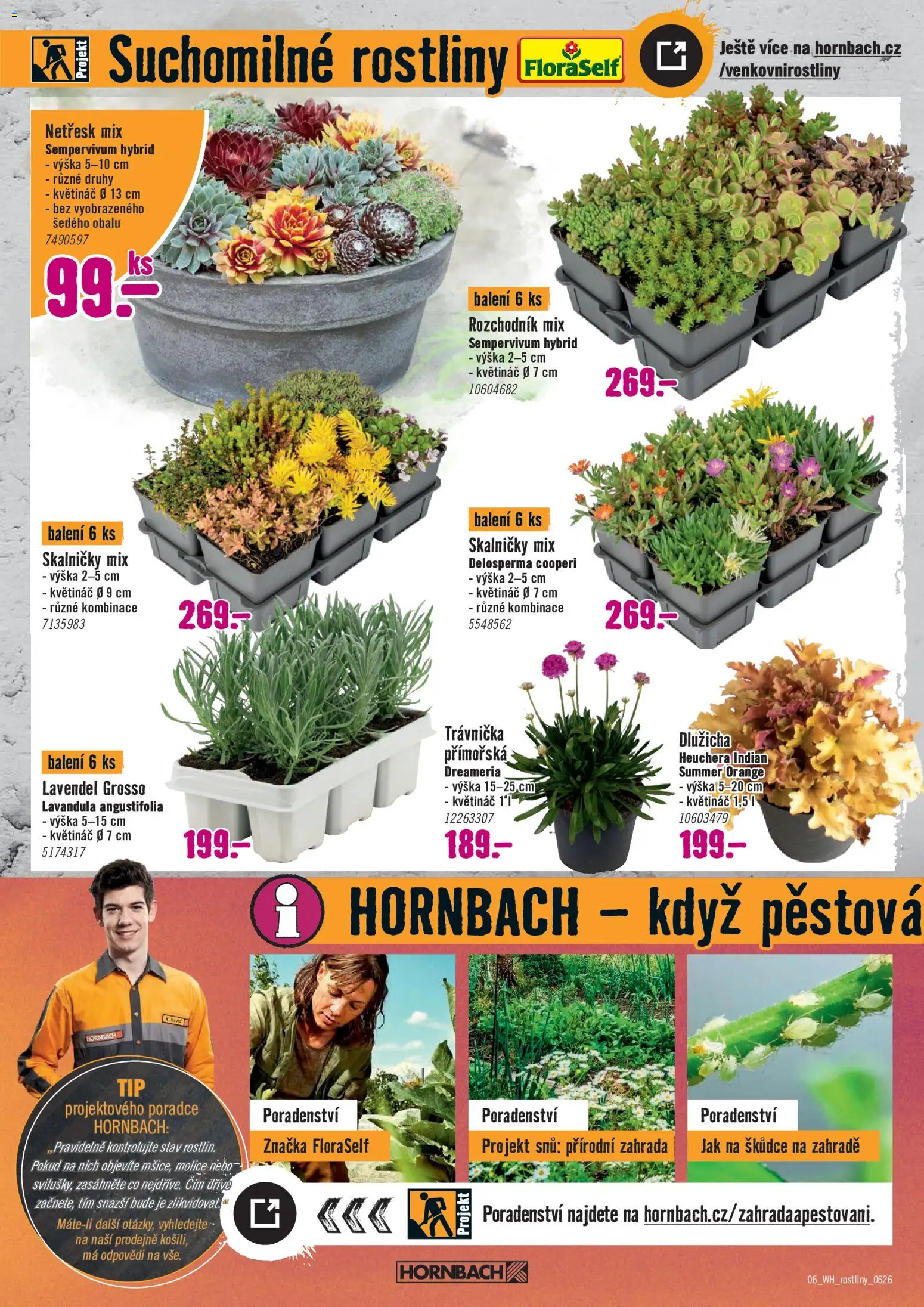 HORNBACH leták - Venkovní rostliny od 10.06.2026 | Strana: 6 | Produkty: Zahrada, Rostliny, Květináč