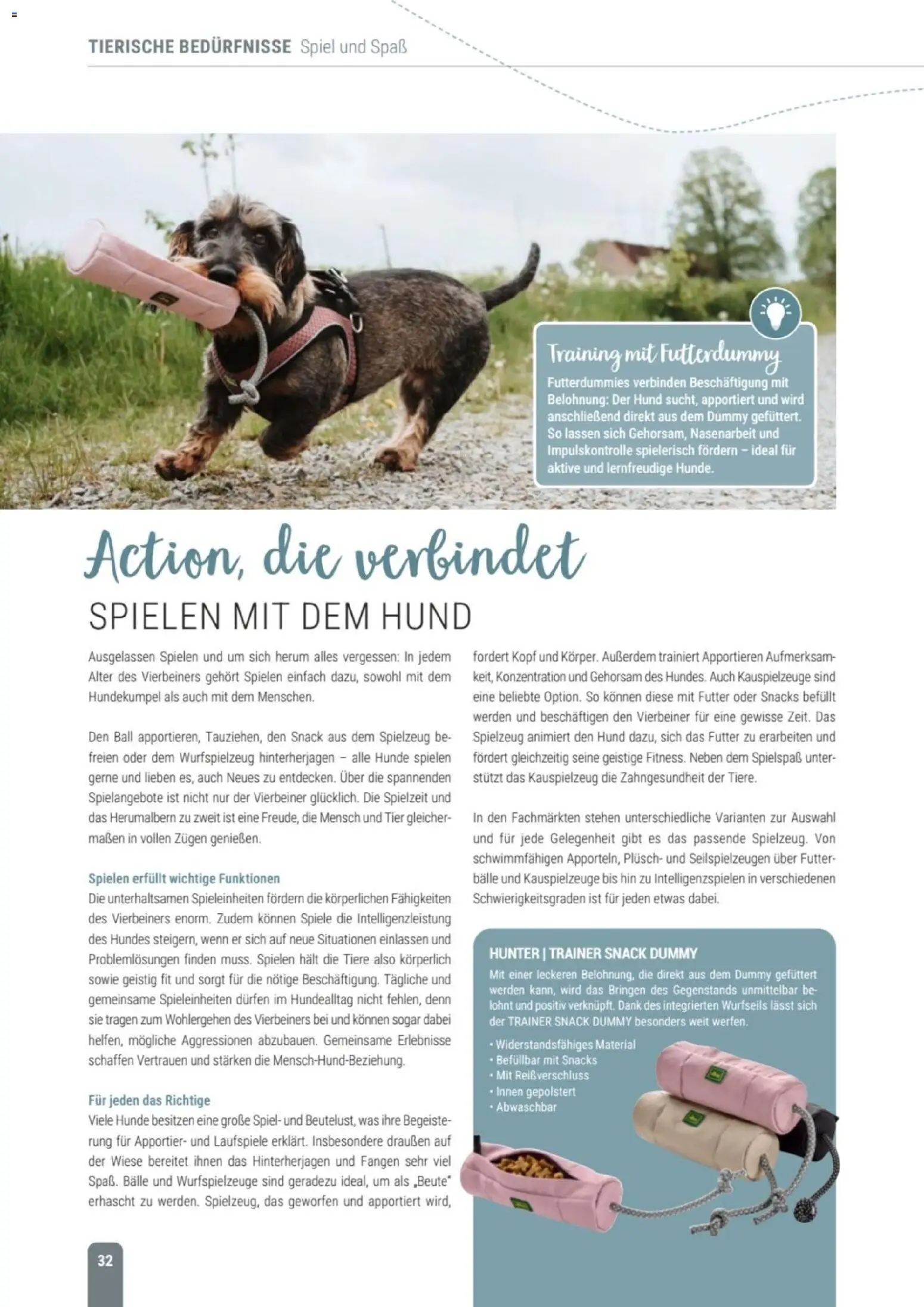 zookauf Themenkatalog Hund – gültig ab 18.05.2026 | Seite: 32 | Produkte: Spiel