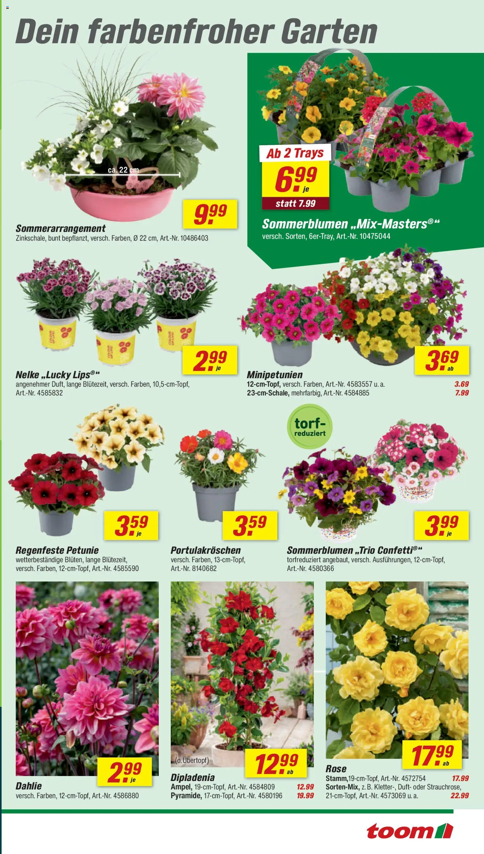 Toom Baumarkt Prospekt 	 – gültig ab 16.05.2026 | Seite: 3 | Produkte: Duft