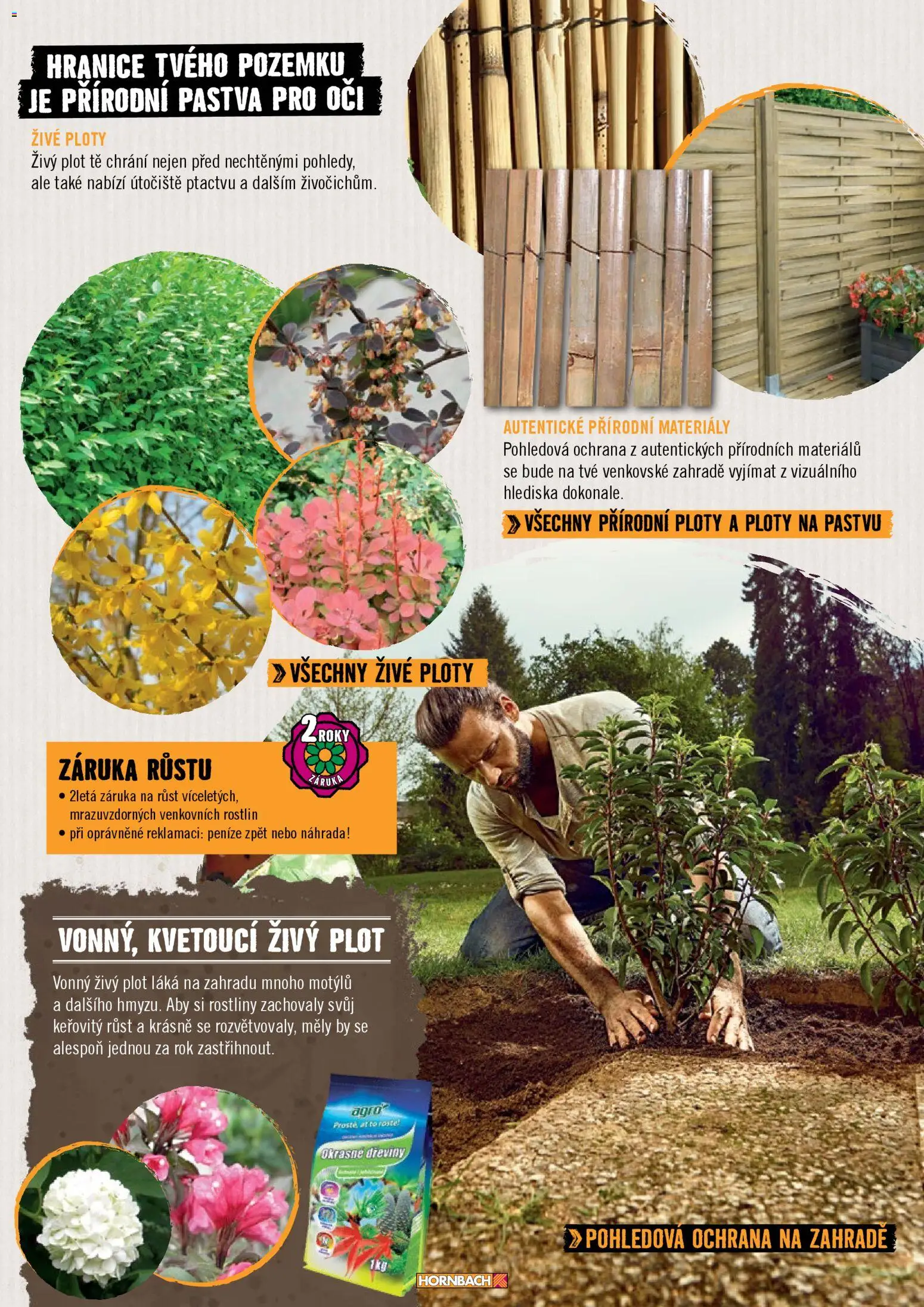 HORNBACH leták - Zahrada od 01.01.2026 | Strana: 21 | Produkty: Rostliny