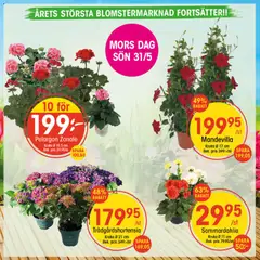 EKO erbjudanden - Förhandsvisning av reklamblad från butik EKO aktuell från 18.05.2026
