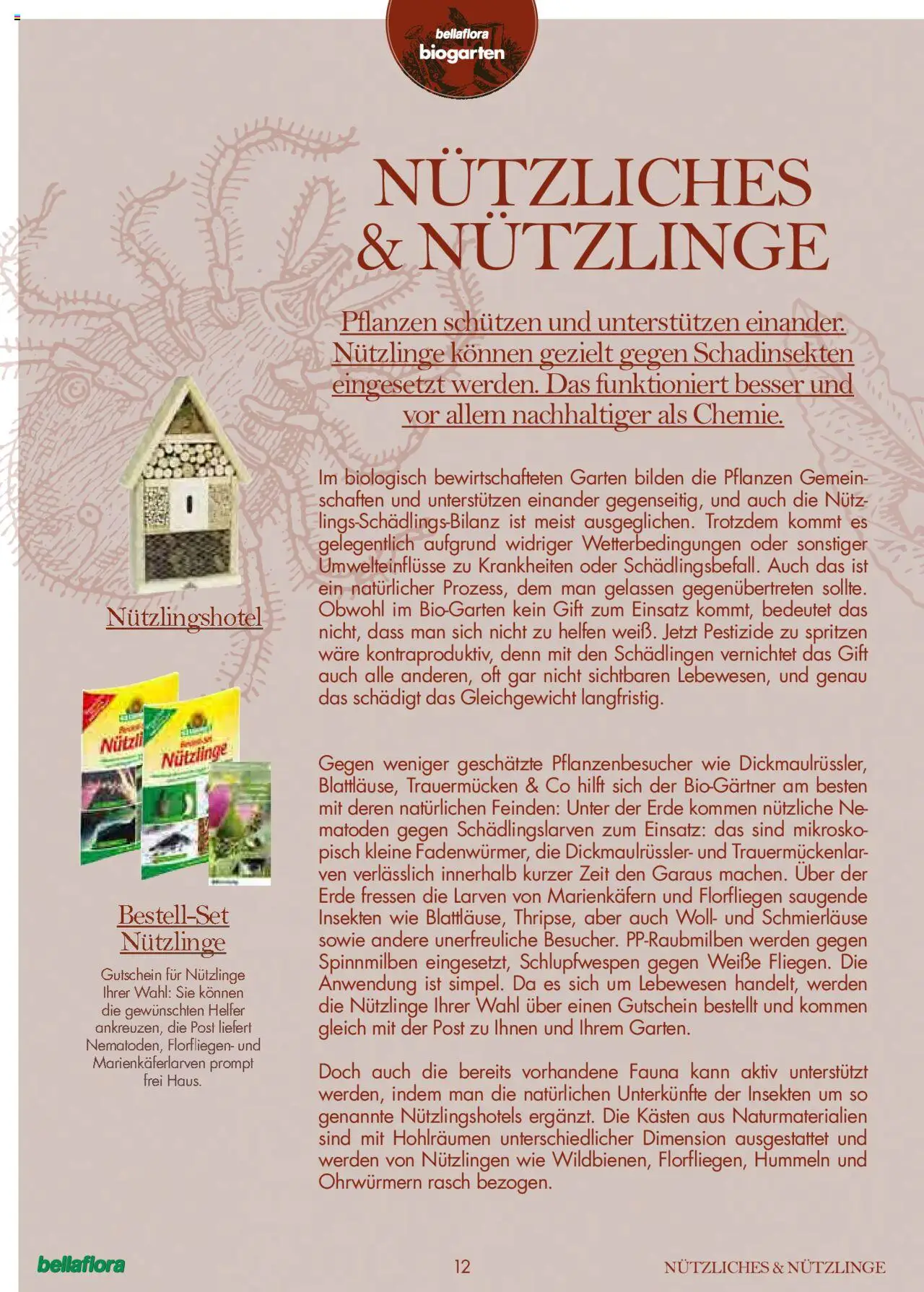 bellaflora Flugblatt gültig ab 24.06.2022 | Seite: 12