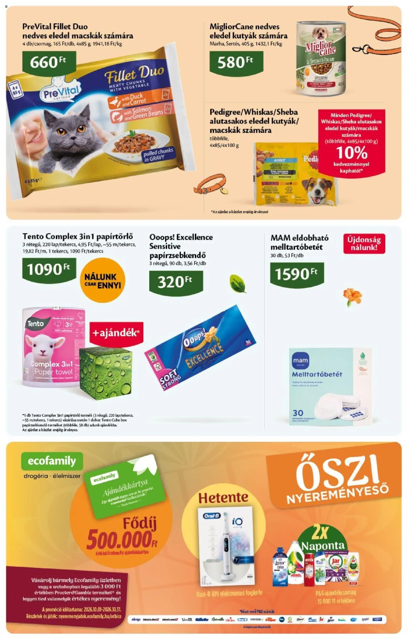 Ecofamily akciós ujság - amely érvényes a következő dátumtól: 2026.10.01. | Oldal: 19 | Termékek: Ariel, Játék, Papírzsebkendő, Doboz