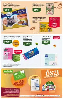 Ecofamily Akciós újság - amely érvényes a következő dátumtól: 2026.10.01. | Oldal: 19