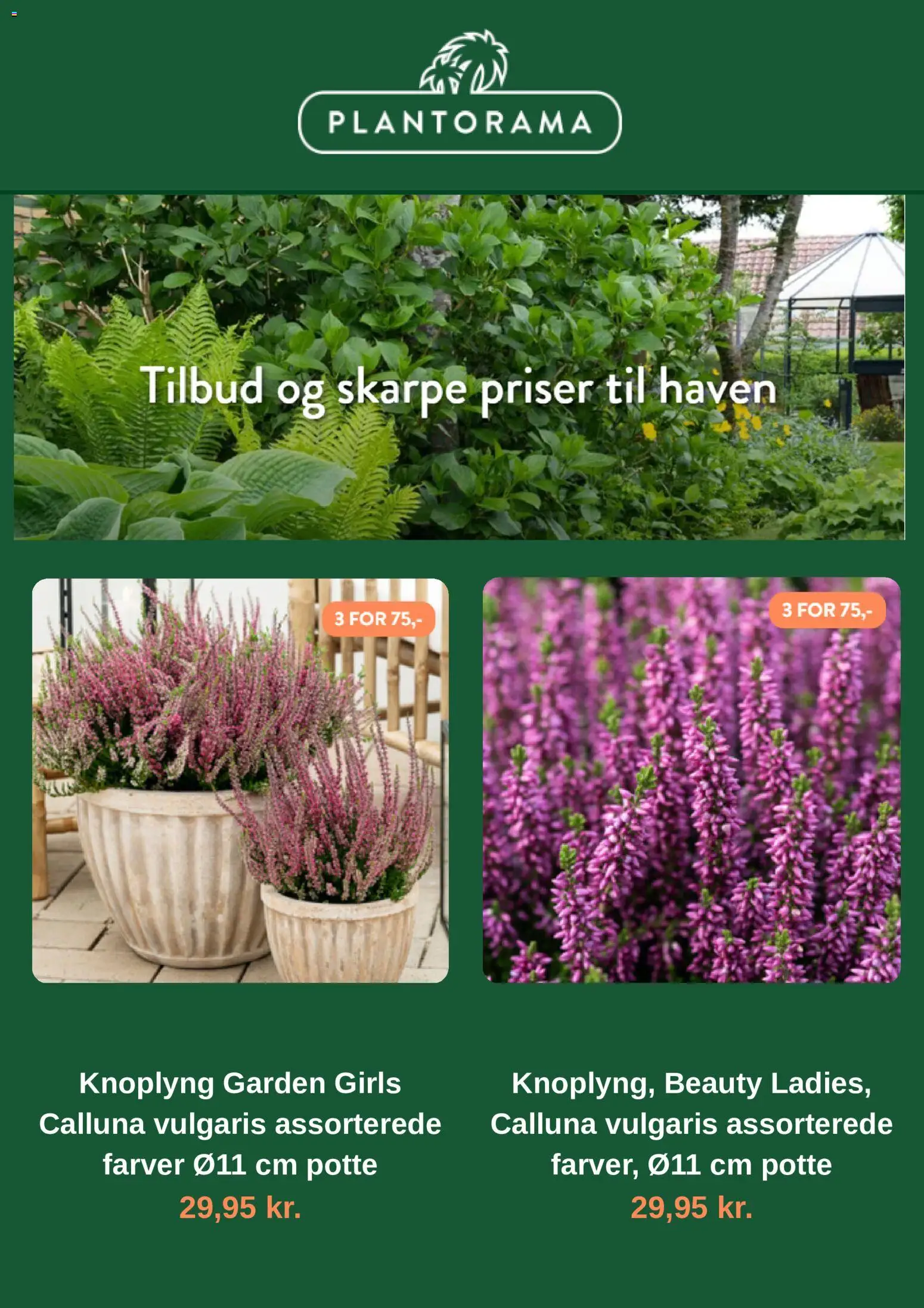 Plantorama tilbudsavis – gyldig fra 29/09/2026 | Side: 2
