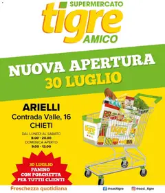 Anteprima del volantino Tigre volantino Amico Arielli valido a partire dal 30/07/2026