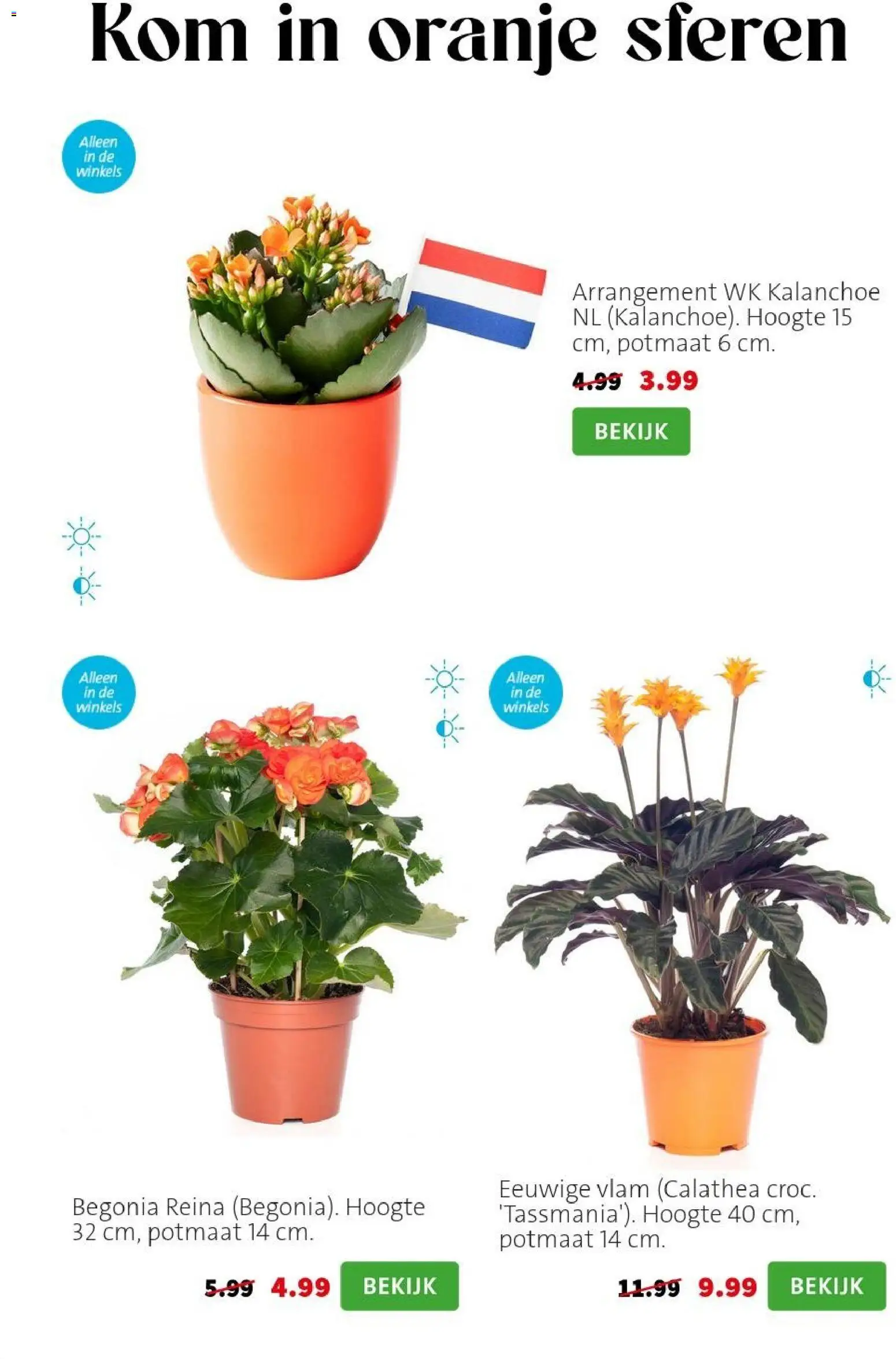 Nieuwe » Intratuin folder voor Juni « is er! Ontdek geweldige aanbiedingen en bespaar. | Nederland