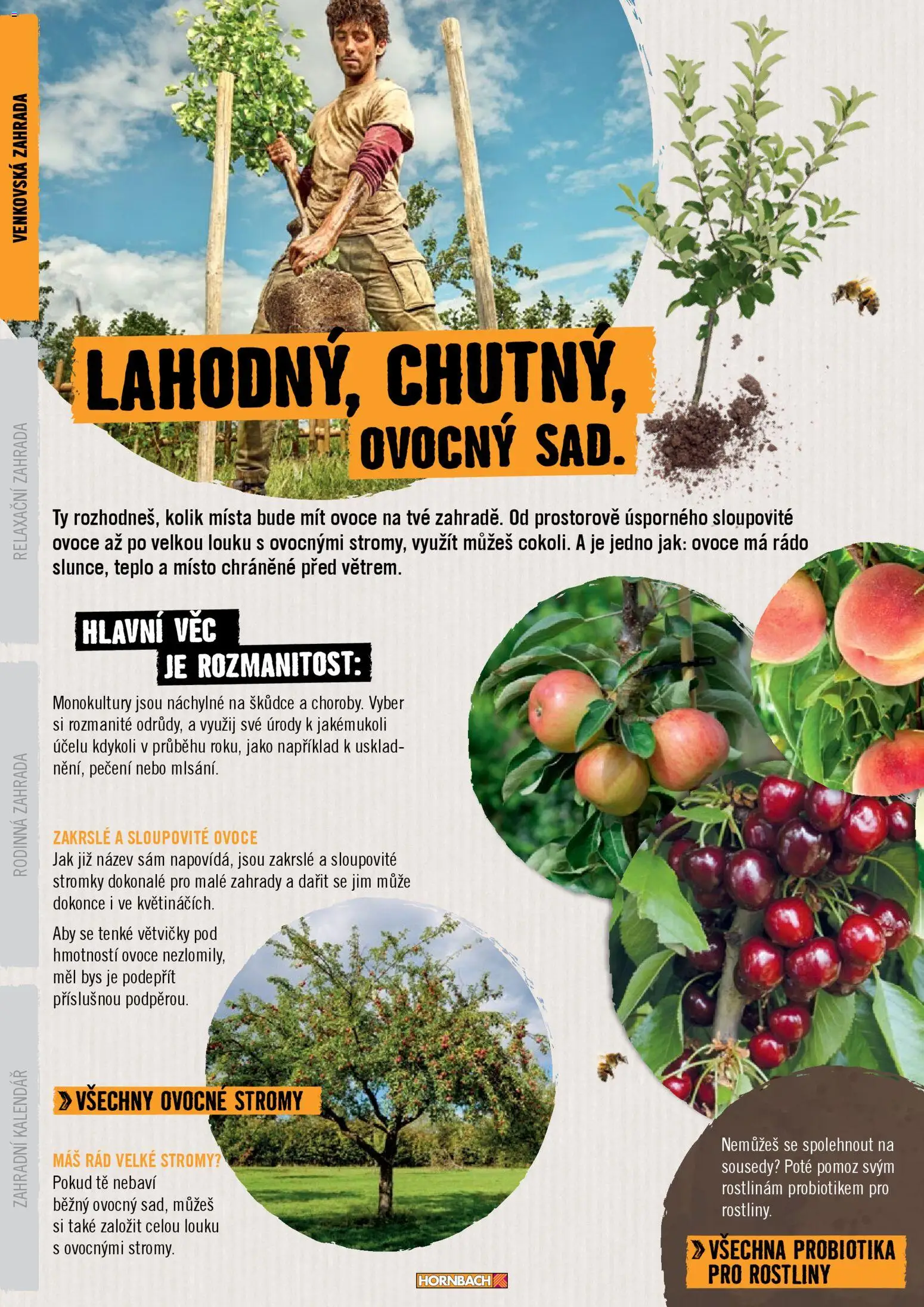 HORNBACH leták - Zahrada od 01.01.2026 | Strana: 8 | Produkty: Ovoce, Zahrada, Kalendář, Rostliny