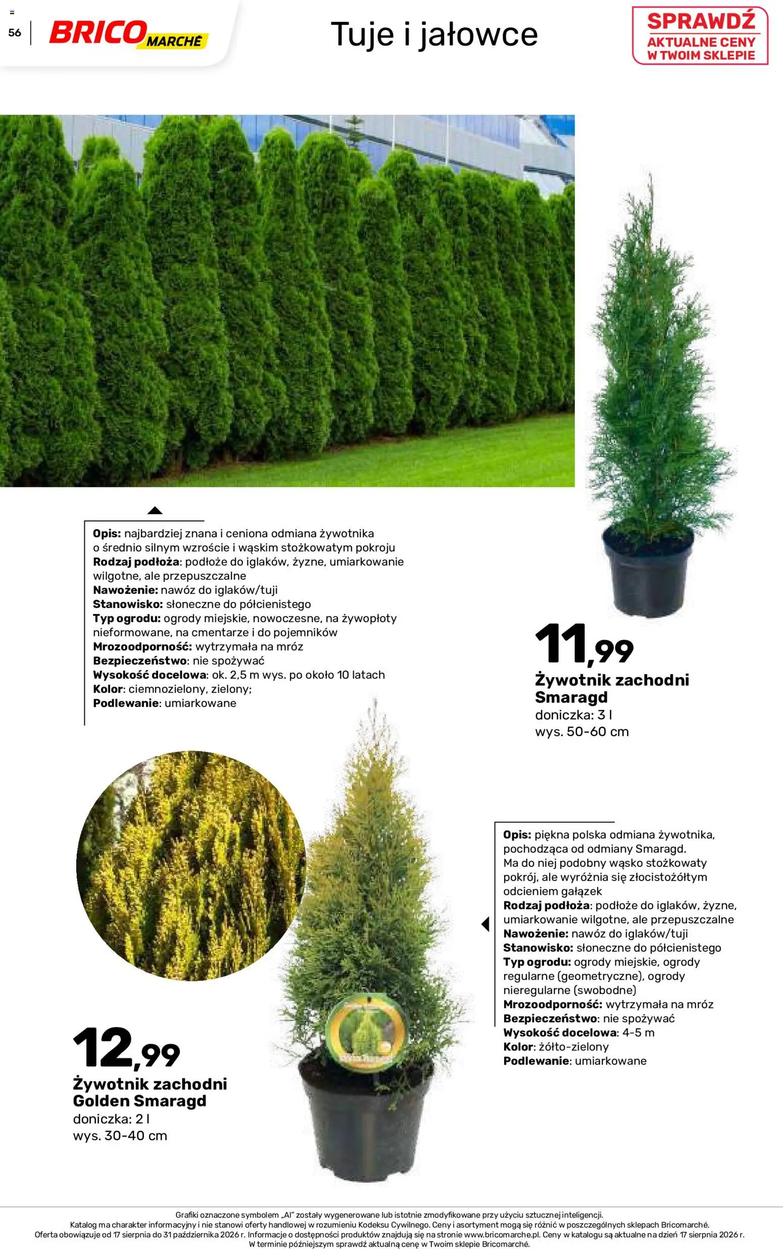 Brico Marché gazetka - Jesienne Inspiracje od 17.08.2026 | Strona: 56 | Produkty: Podłoże, Tuje, Doniczka, Nawóz