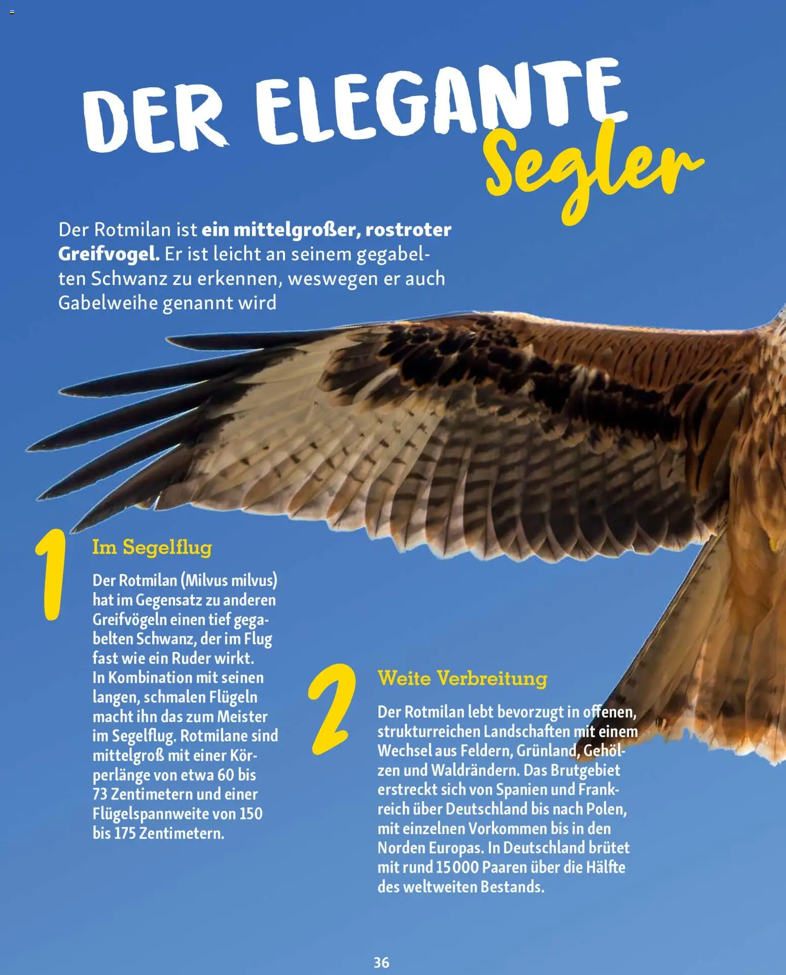 Fressnapf Friends Magazin – gültig ab 01.05.2026 | Seite: 36