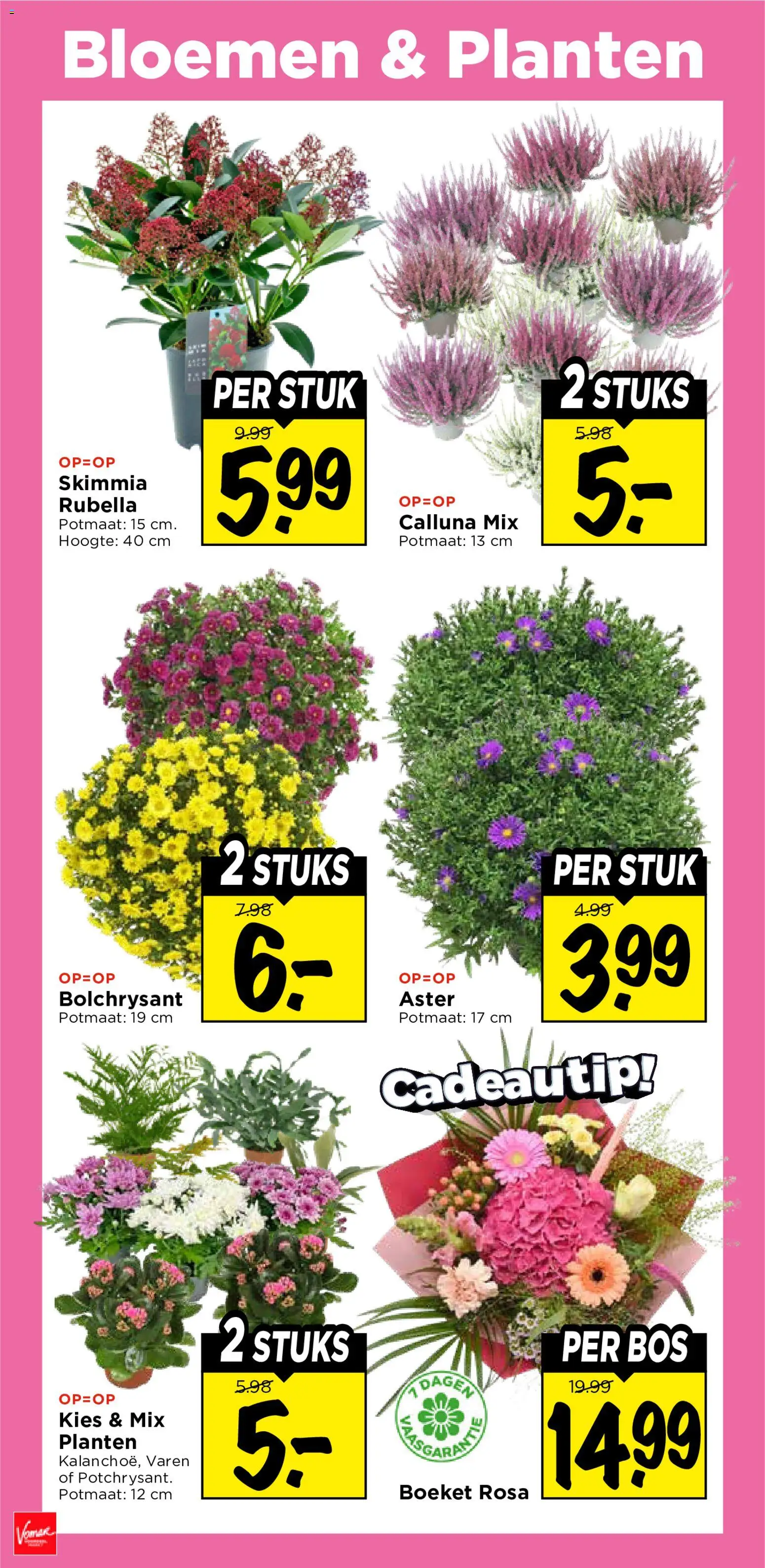 {H1} | Pagina: 34 | Producten: Bloemen