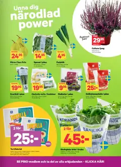 City Gross erbjudanden - Förhandsvisning av reklamblad från butik City Gross aktuell från 14/09/2026 | Sida: 3