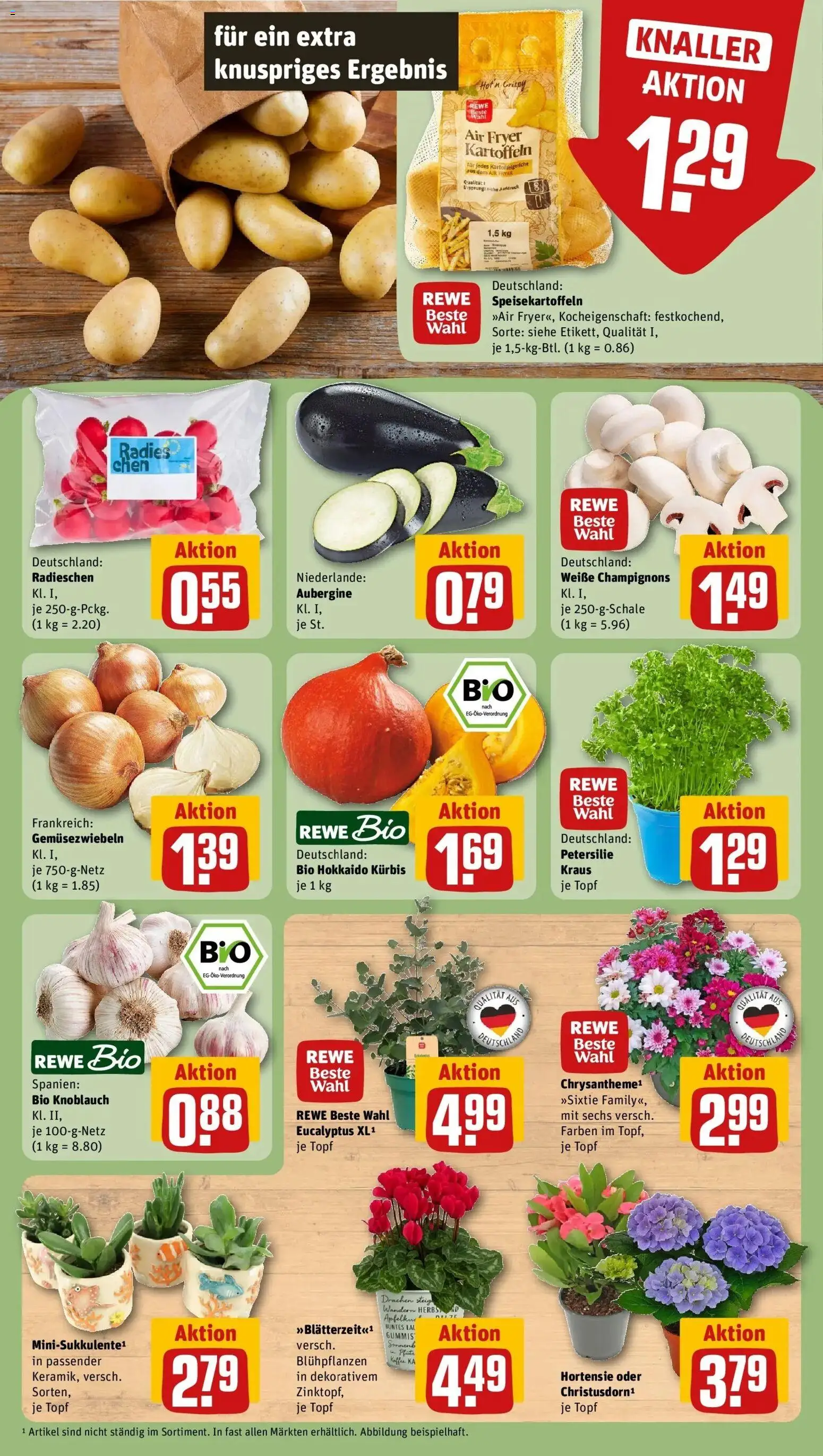 REWE Prospekt ab 24.08.2026 zum Blättern » Angebote | Seite: 7 | Produkte: Hortensie, Kartoffeln, Knoblauch, Aubergine