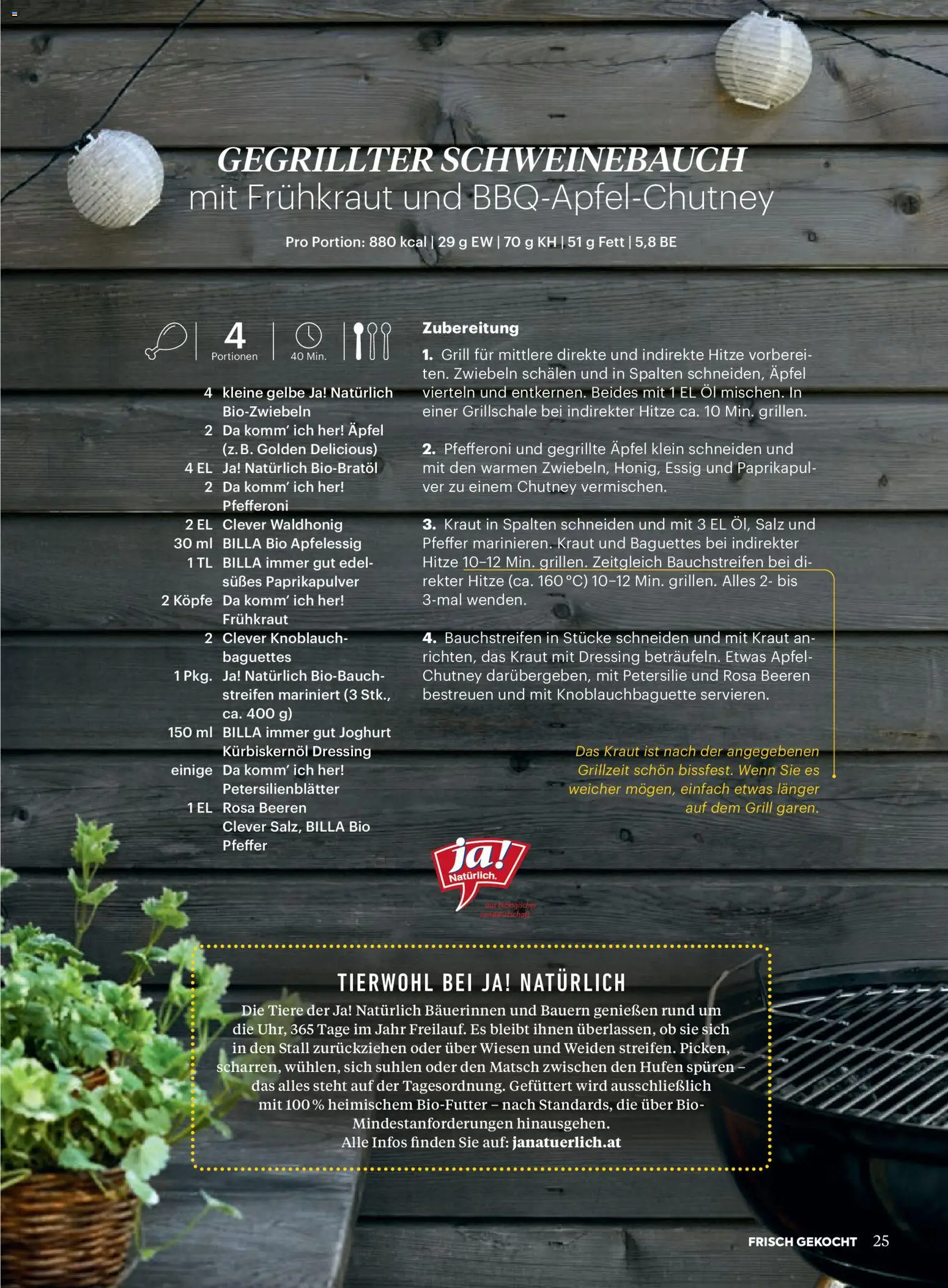 Billa AT akciós ujság - amely érvényes a következő dátumtól: 01.07.2026 | Oldal: 23 | Termékek: Grill, Joghurt