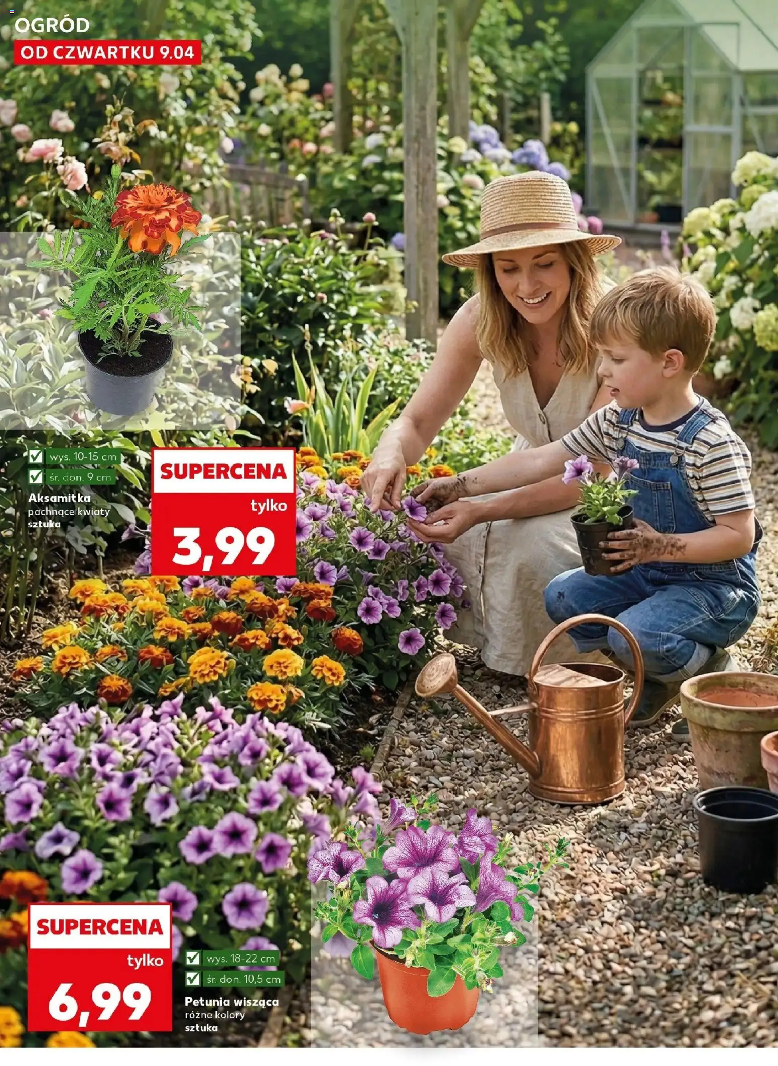Kaufland gazetka - Ogród od 09.04.2026 | Strona: 10 | Produkty: Kwiaty