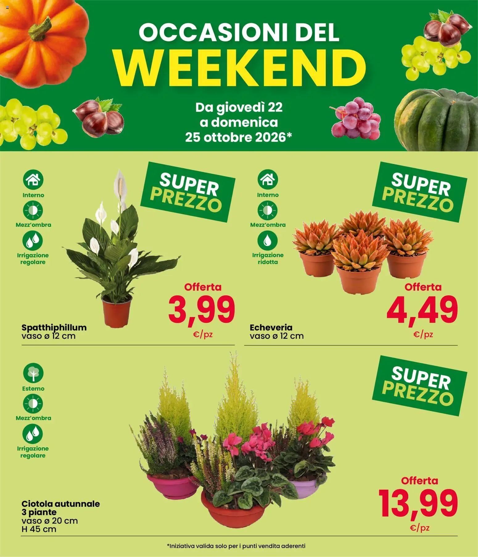 Volantino Interspar del 22/10/2026 | Pagina: 3 | Prodotti: Ciotola, Vaso