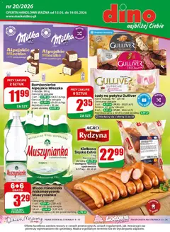 Pogląd oferty "Dino gazetka" - ważna od 13.05.2026