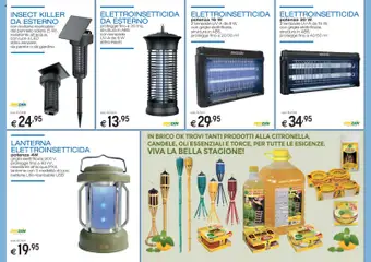 Anteprima del volantino Brico OK volantino Insetticidi e Zanzariere valido a partire dal 05/03/2026 | Pagina: 3 | Prodotti: Uva, Griglia, Batteria, Lampada