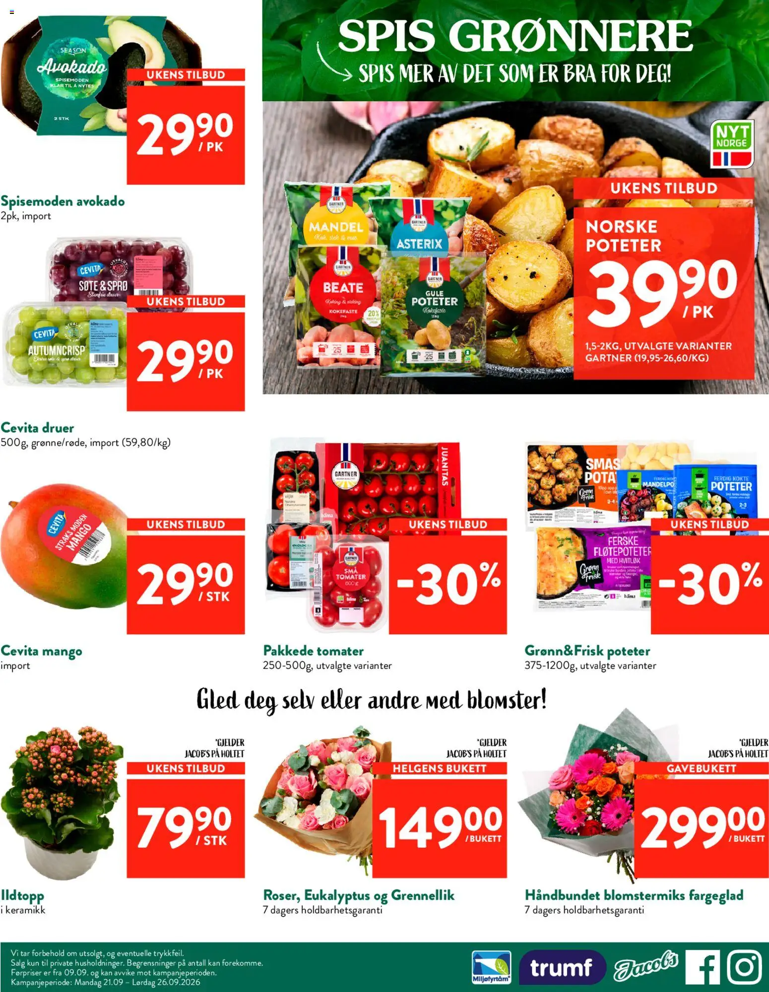 {H1} | Side: 8 | Produkter: Druer, Avokado, Mango, Blomster