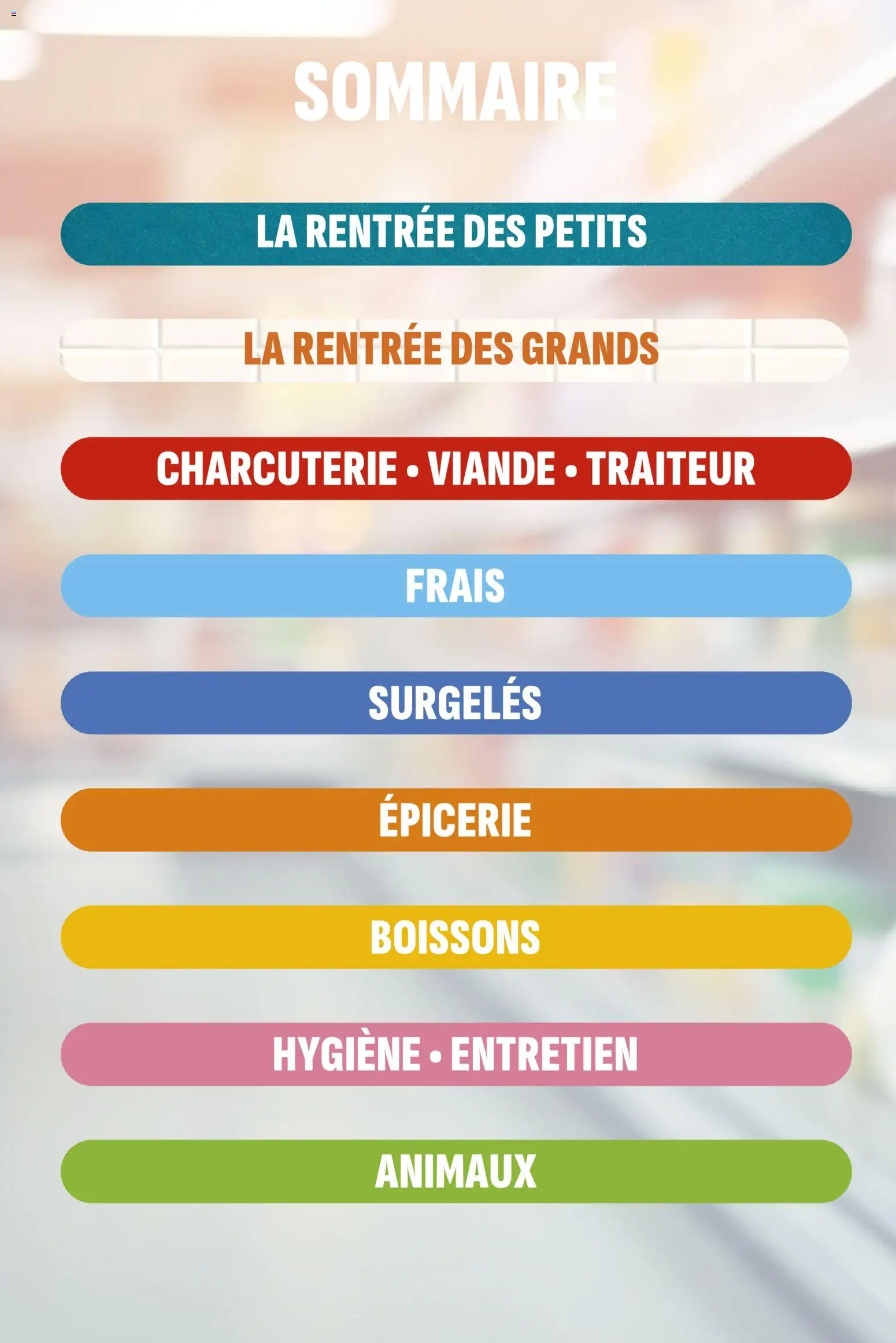 {H1} | Page: 2 | Produits: Charcuterie, Boissons, Hygiène, Viande
