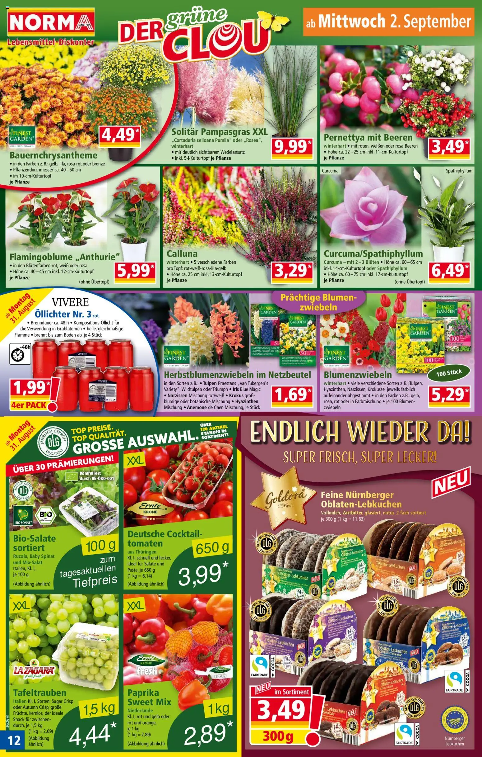 Norma Flugblatt gültig ab 31.08.2026 | Seite: 12 | Produkte: Zwiebeln, Tomaten, Lebkuchen