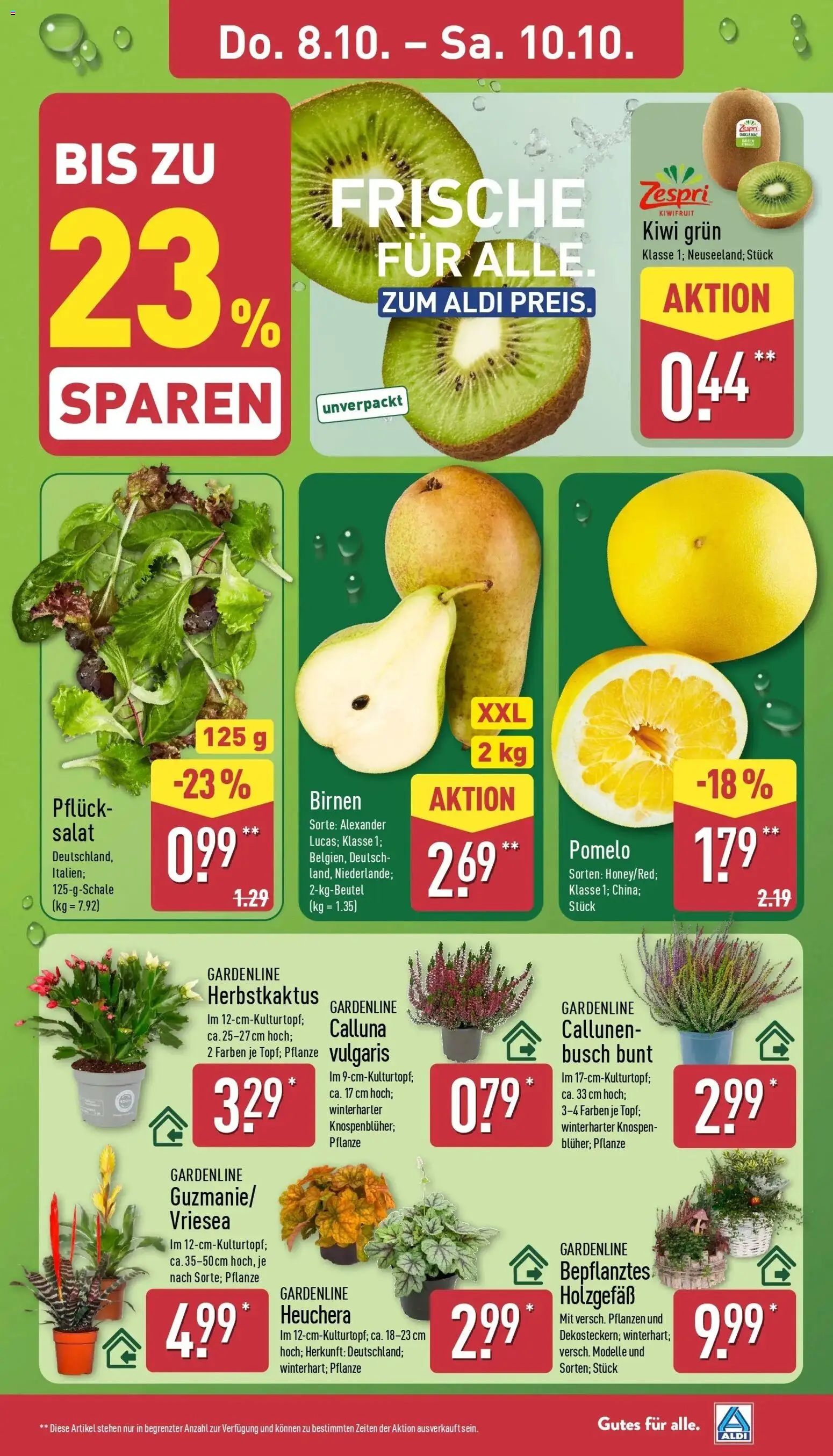 Aldi Aktueller Prospekt (ab 05.10.2026) » Angebote Online | Seite: 31 | Produkte: Kiwi, Salat