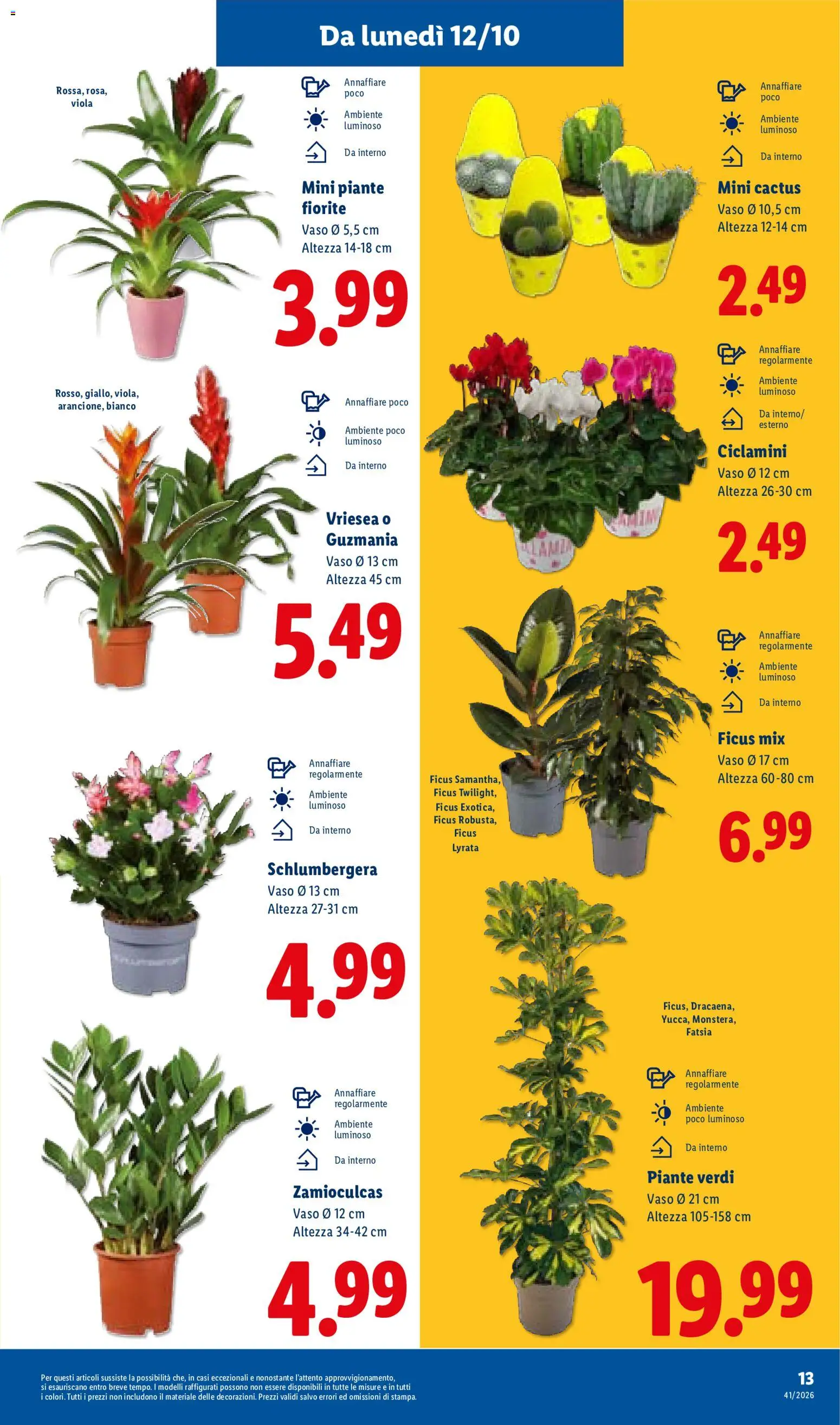Volantino Lidl del 08/10/2026 | Pagina: 33