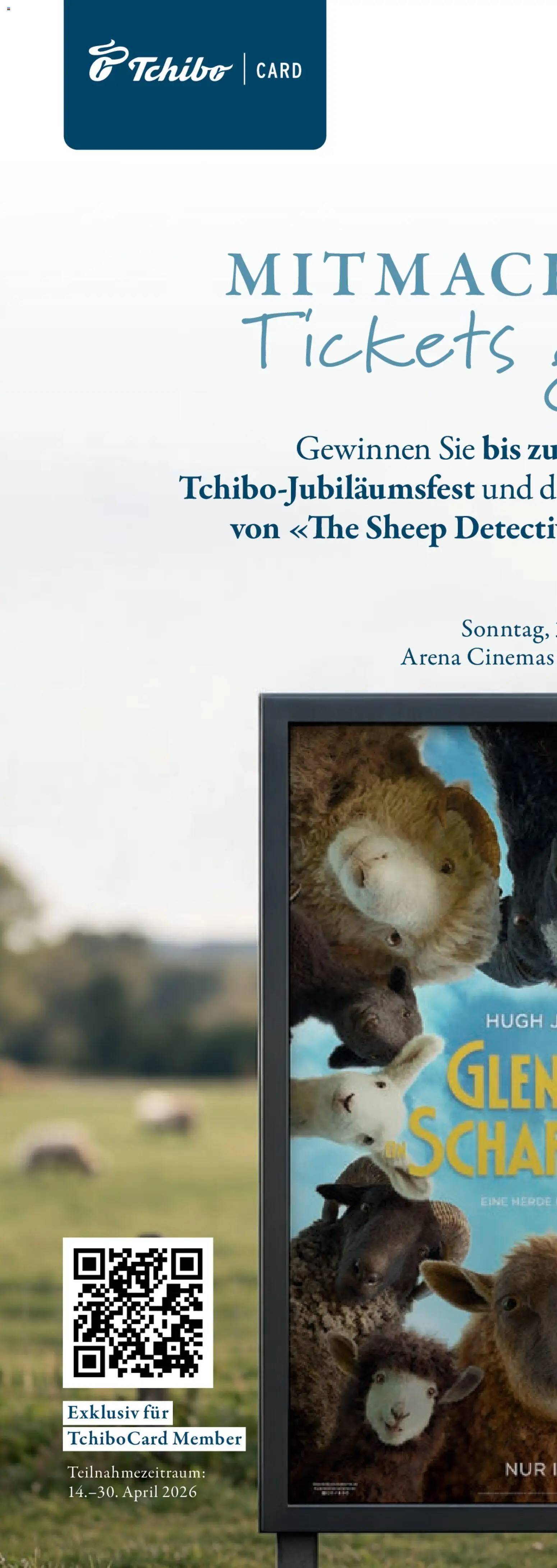 Tchibo aktionen Comfort – gültig ab 21.04.2026 | Seite: 29 | Produkte: Schal