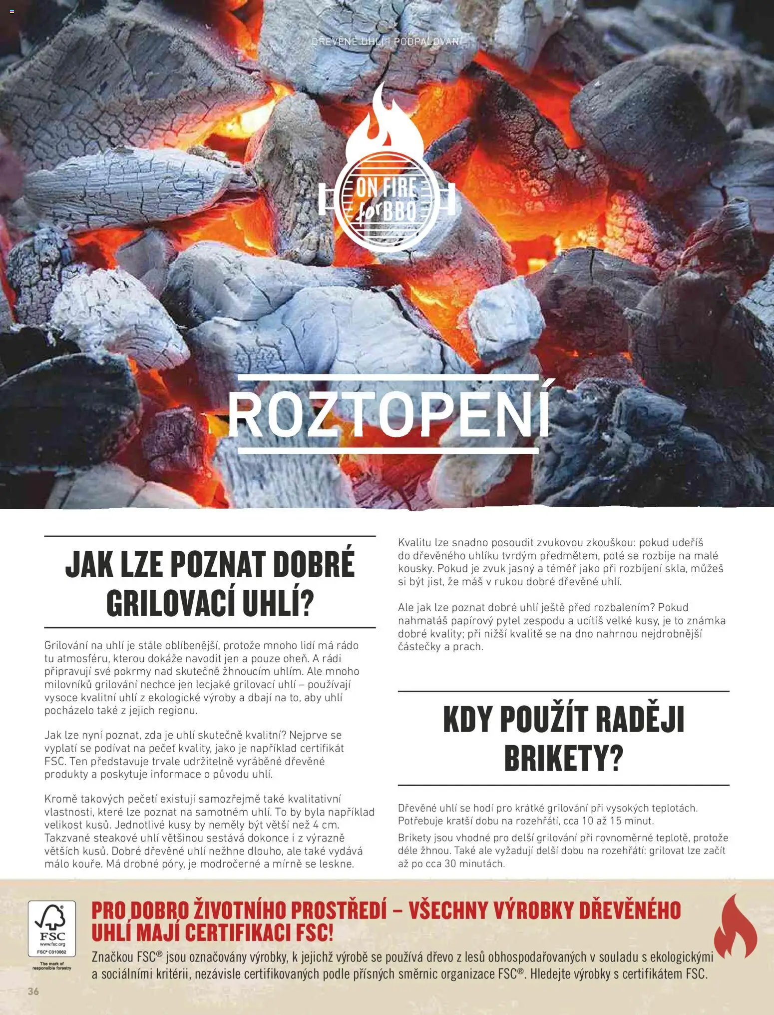 HORNBACH leták - Magazín o grilování od 01.01.2026 | Strana: 36 | Produkty: Grilování, Dřevěné brikety, Dřevěné uhlí, Brikety