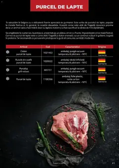 Ofertele Selgros valabile de la 25.03.2026 | Pagină: 41 | Produse: Cuptor, Grill, Masă, Cutie
