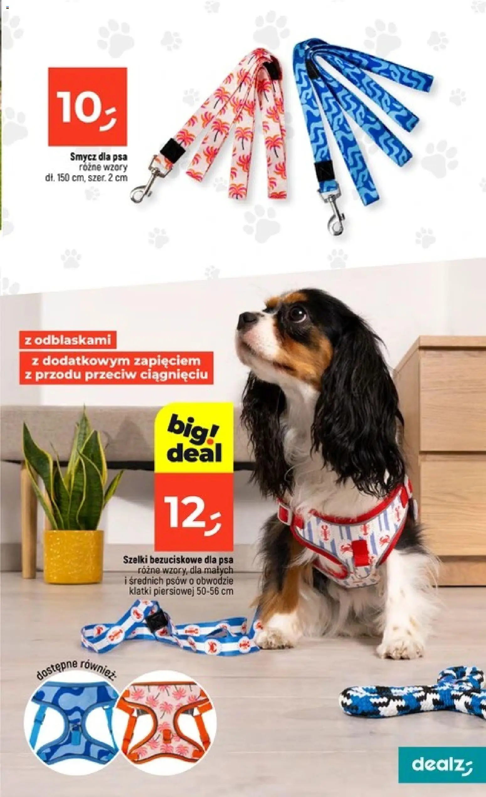 Dealz gazetka od 25.06.2026 | Strona: 37 | Produkty: Smycz dla psa