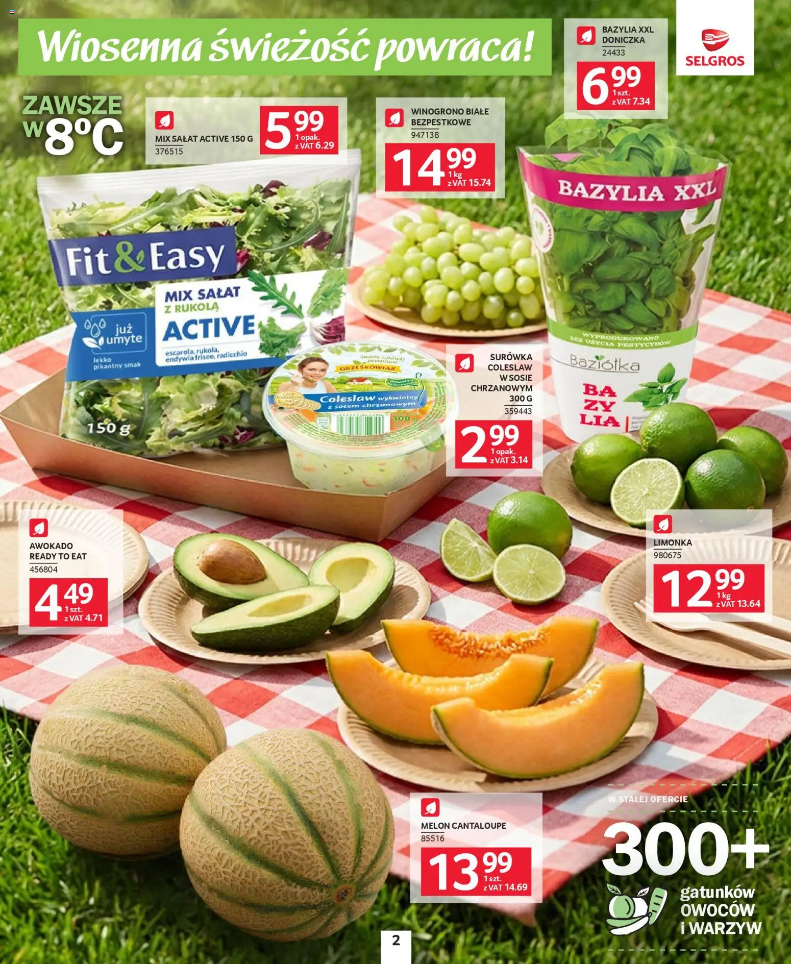 Selgros cash&carry gazetka - Grillowanie od 23.04.2026 | Strona: 2 | Produkty: Limonka, Bazylia, Mix sałat, Awokado