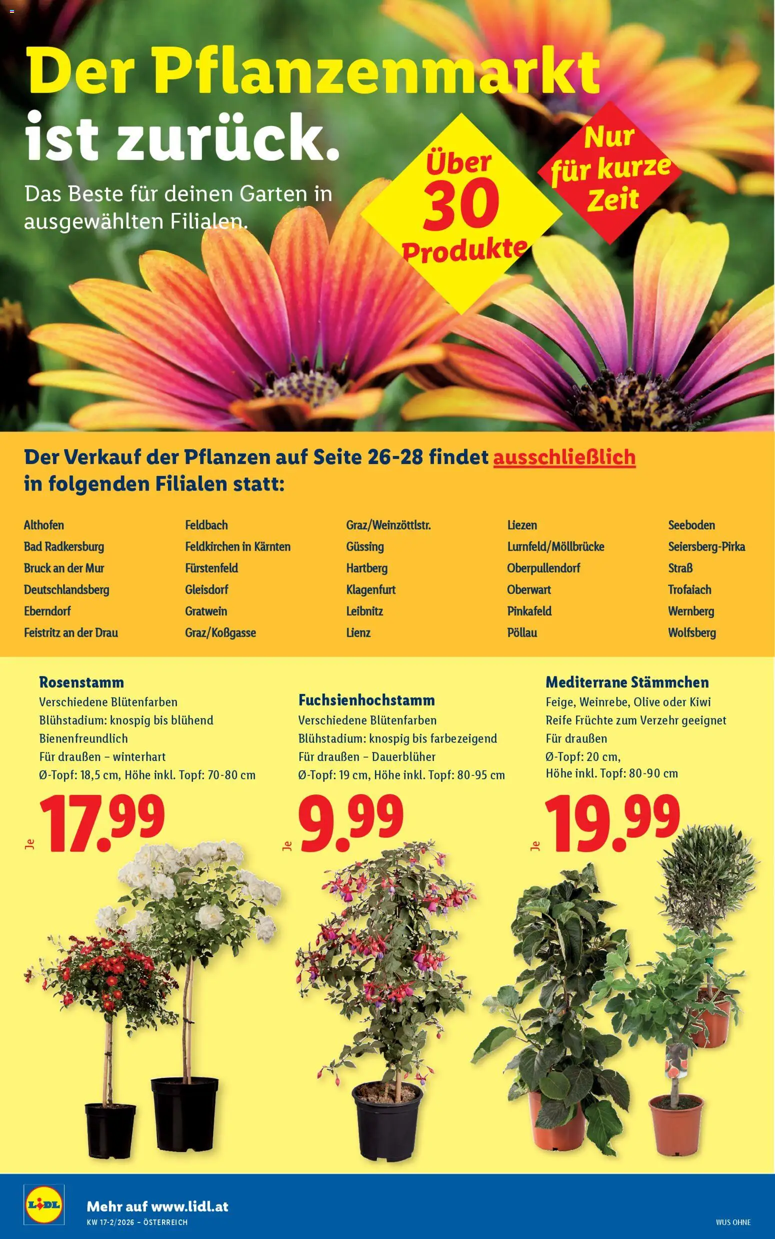 Lidl Flugblatt - Oberpullendorf, Güssing, Oberwart gültig ab 23.04.2026 | Seite: 28 | Produkte: Kiwi, Bad