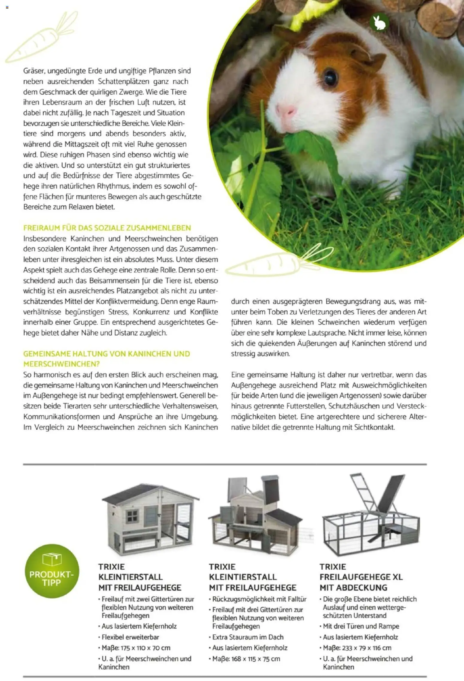 zookauf Heimtier Journal – gültig ab 01.07.2026 | Seite: 17 | Produkte: Kaninchen