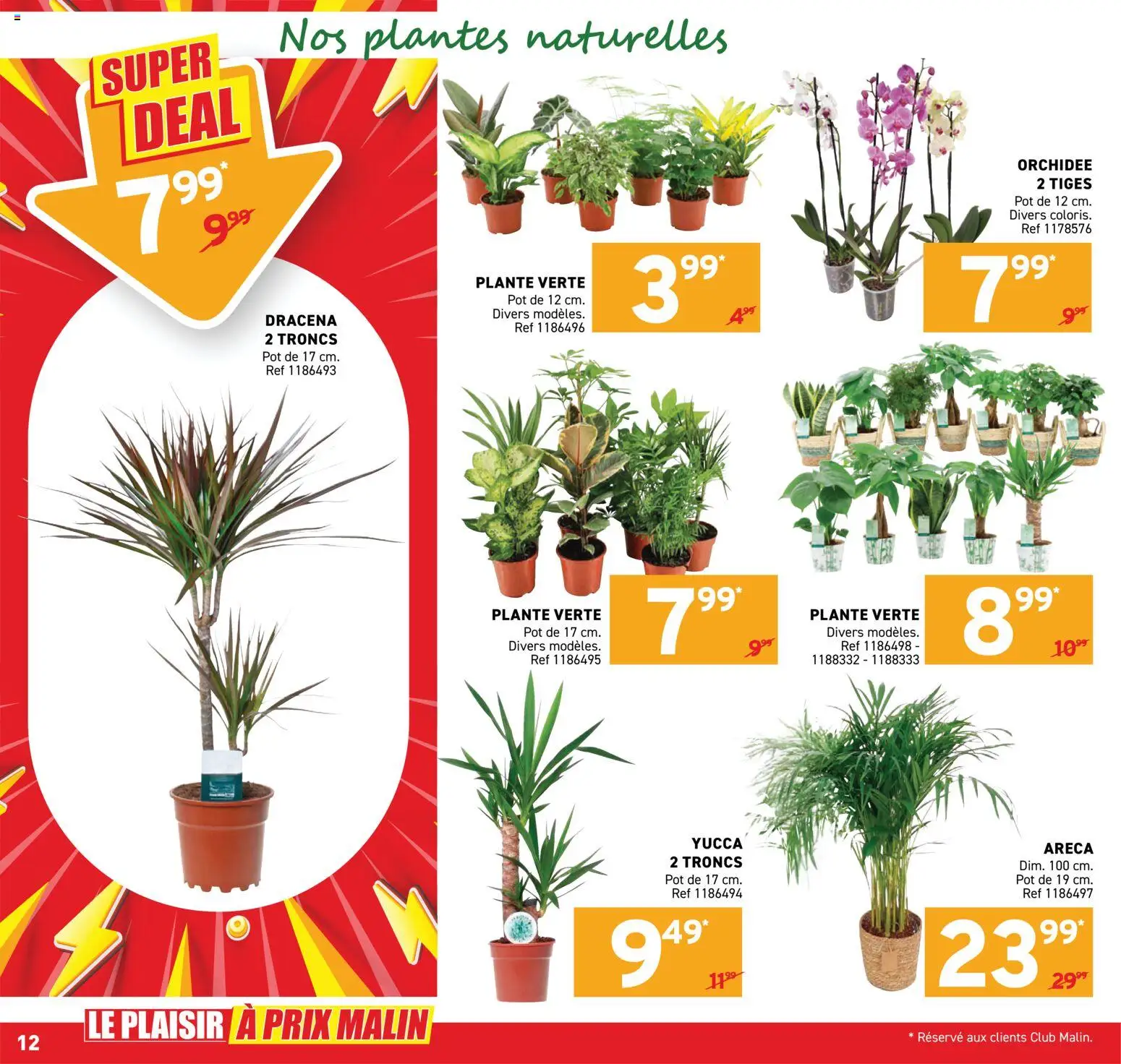 {H1} | Pagina: 12 | Producten: NOS, Orchidee, Pot